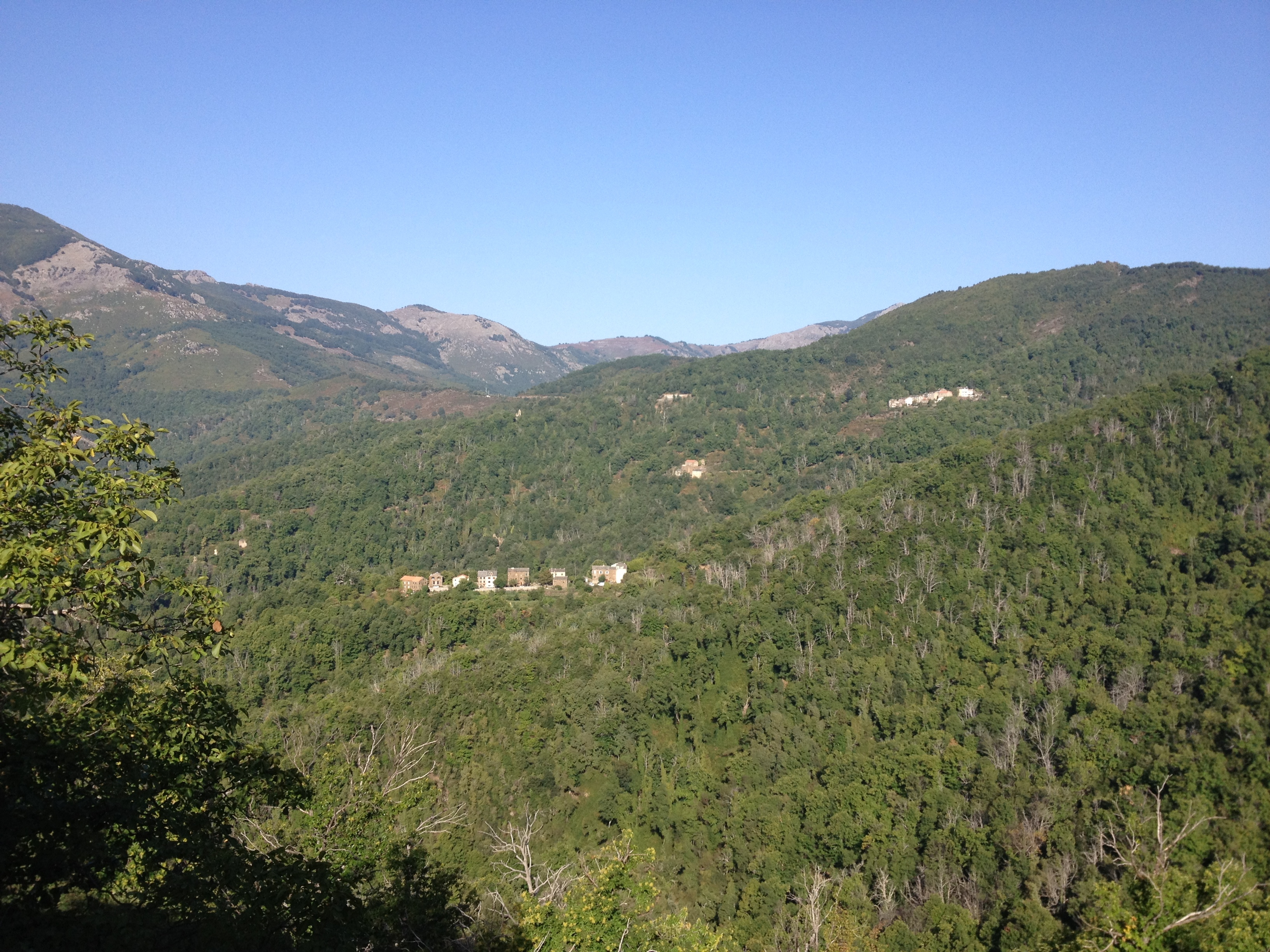 รูปถ่าย ฝรั่งเศส(France) คอร์สิคา(Corsica) เฟลเช(Felce) 2012-09 0