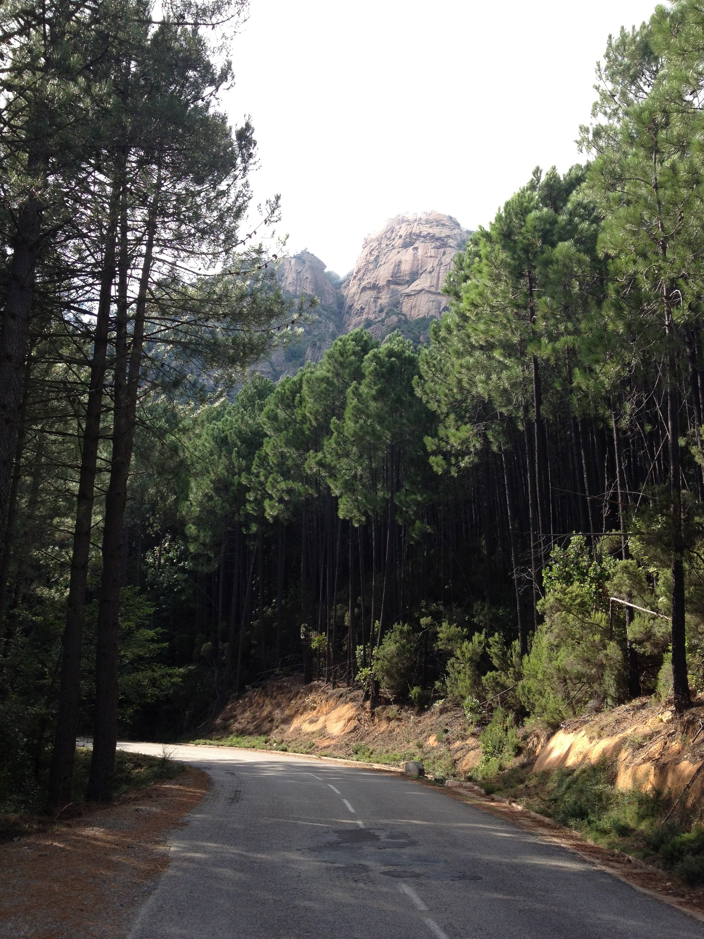 รูปถ่าย ฝรั่งเศส(France) คอร์สิคา(Corsica) บาแวลลา(Bavella) 2012-09 33