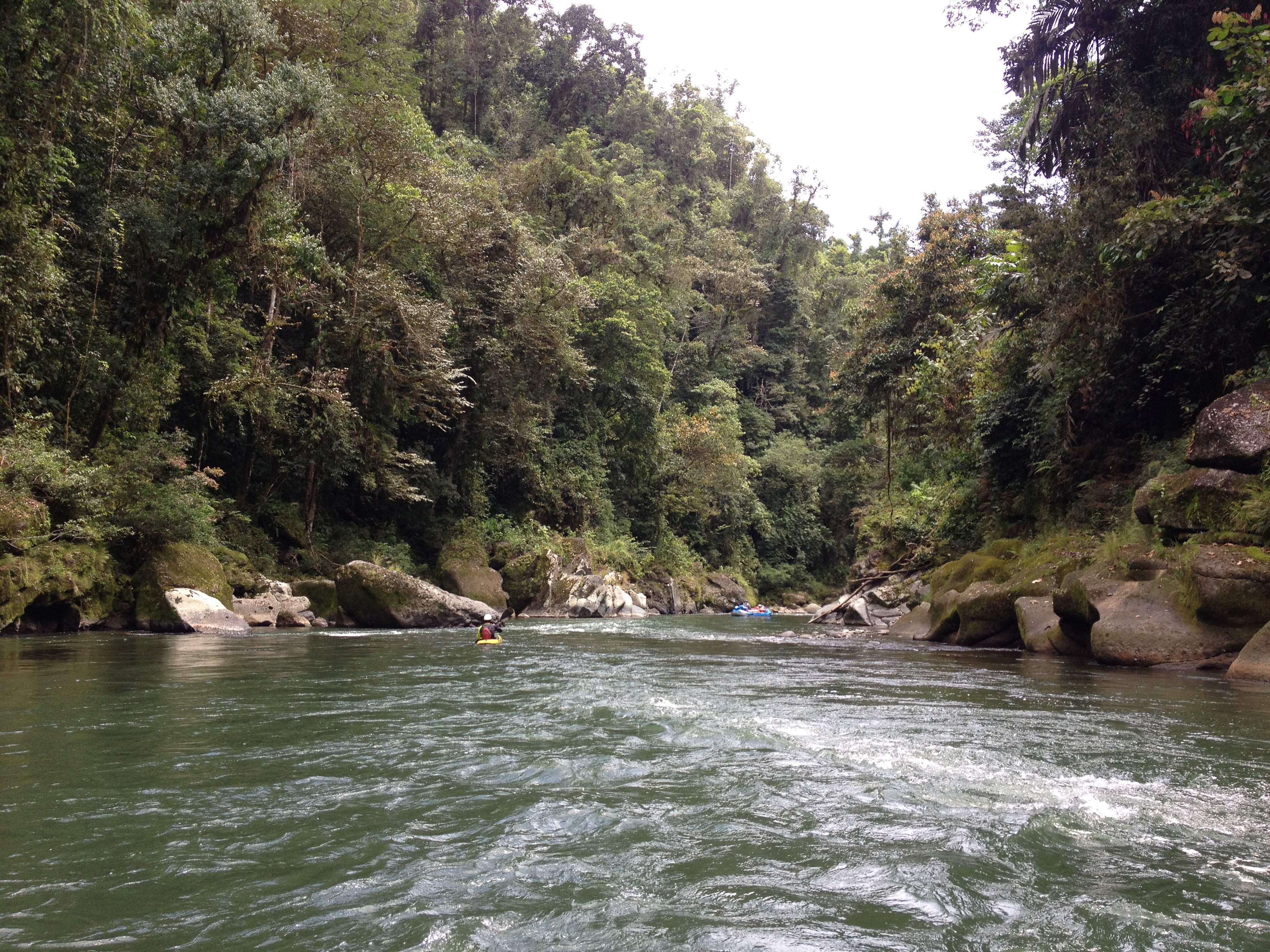รูปถ่าย คอสตาริกา(Costa Rica) แม่น้ำปากัวเร(Pacuare River) 2015-03 129