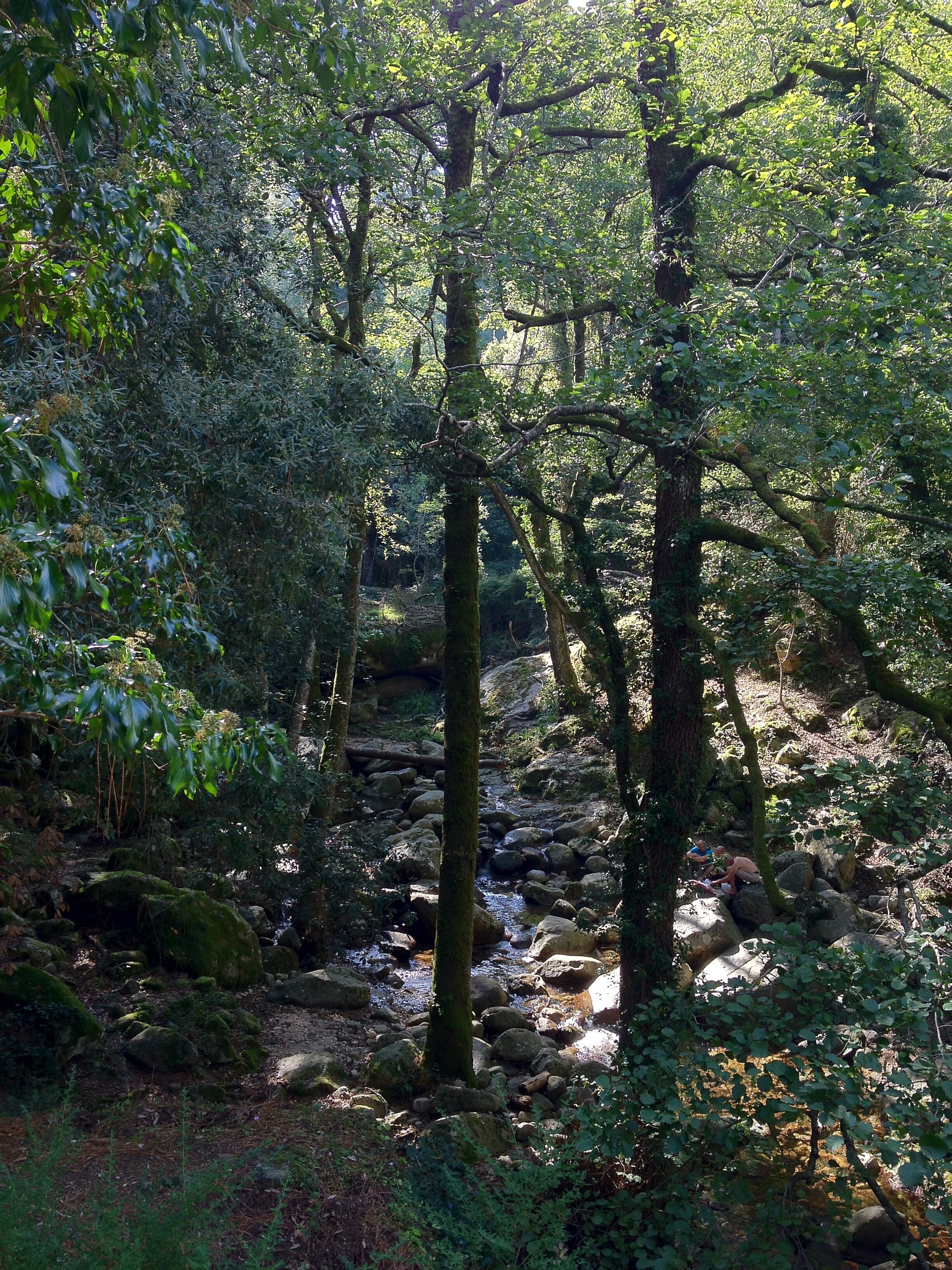 รูปถ่าย ฝรั่งเศส(France) คอร์สิคา(Corsica) บาแวลลา(Bavella) 2012-09 22
