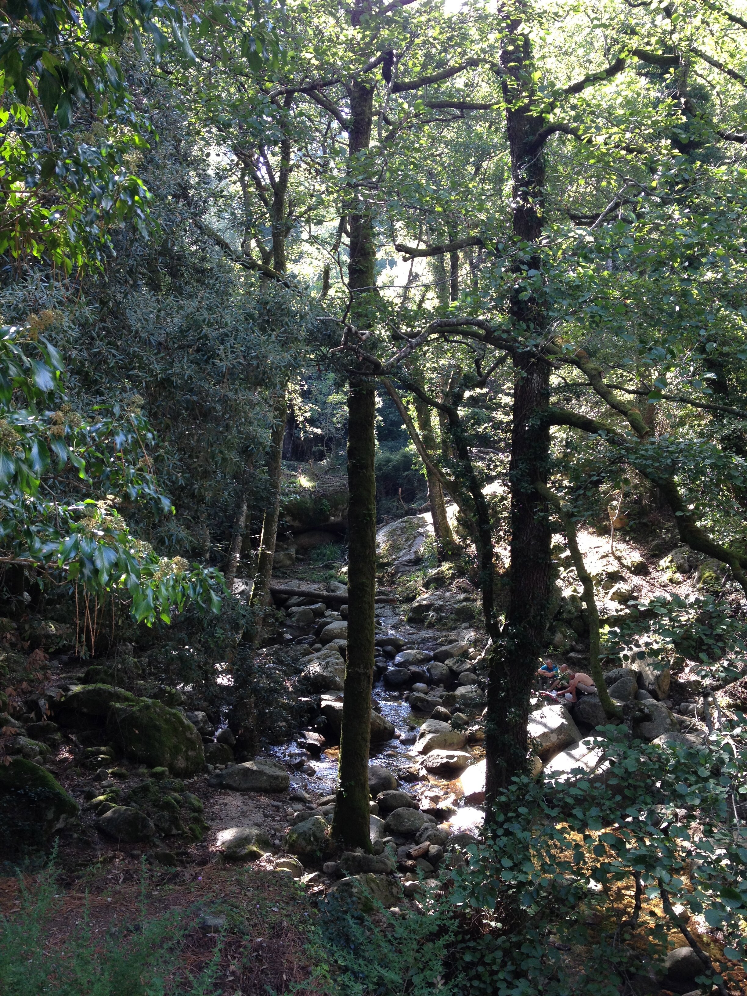 รูปถ่าย ฝรั่งเศส(France) คอร์สิคา(Corsica) บาแวลลา(Bavella) 2012-09 13