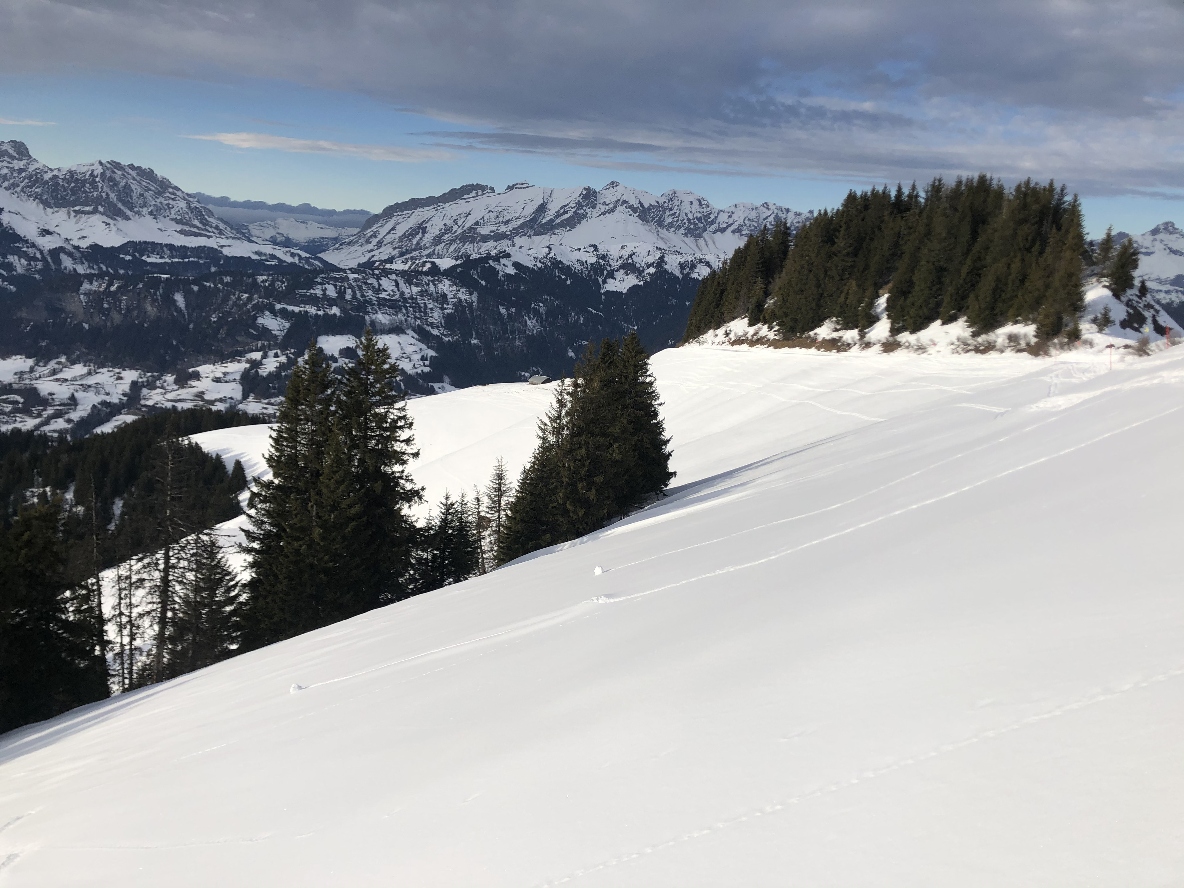 รูปถ่าย ฝรั่งเศส(France) ปรา-ซูร์-อาร์ลี(Praz sur Arly) 2019-12 98