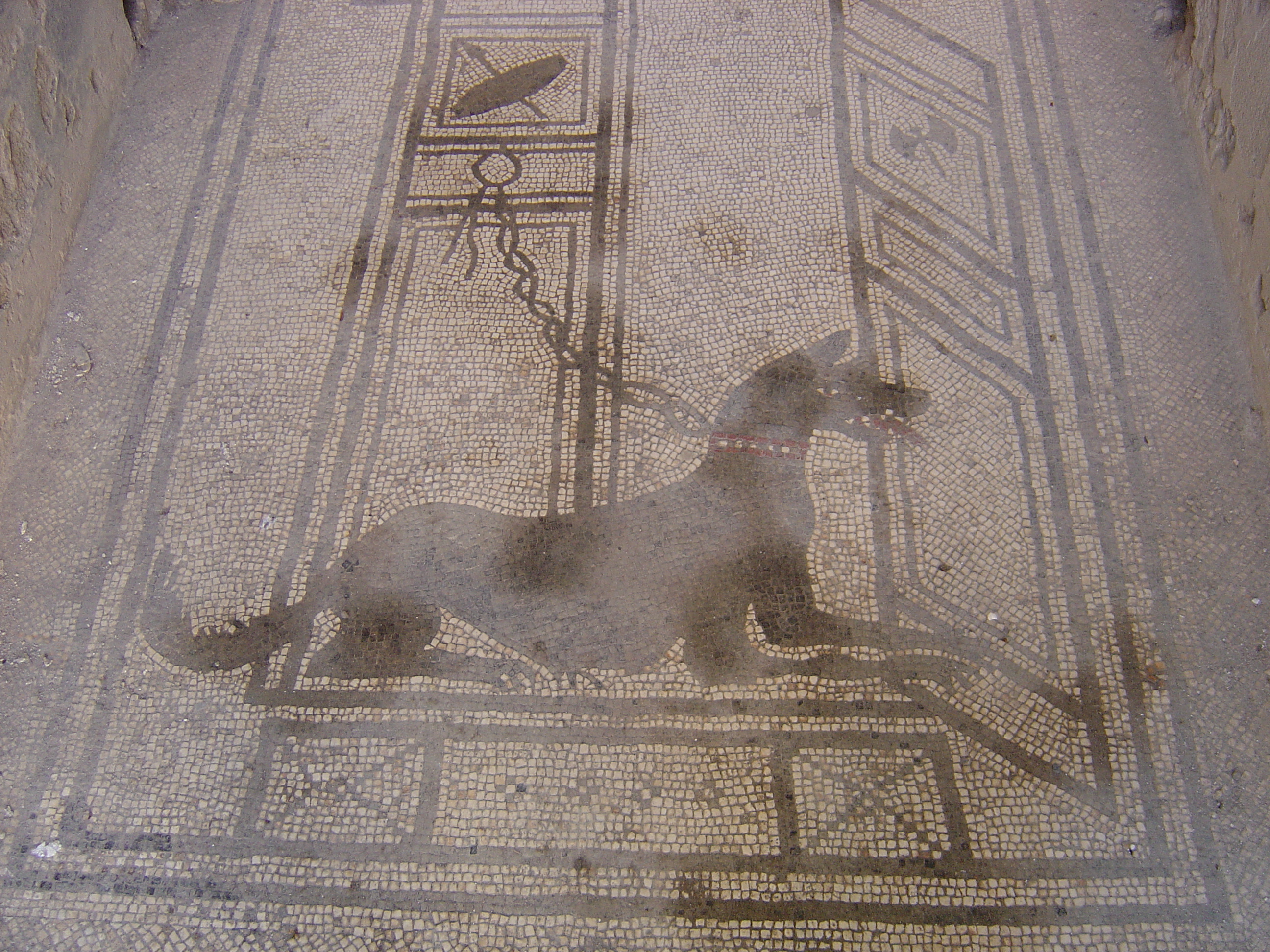 รูปถ่าย อิตาลี(Italy) ปอมเปอี(Pompeii) 2004-11 21