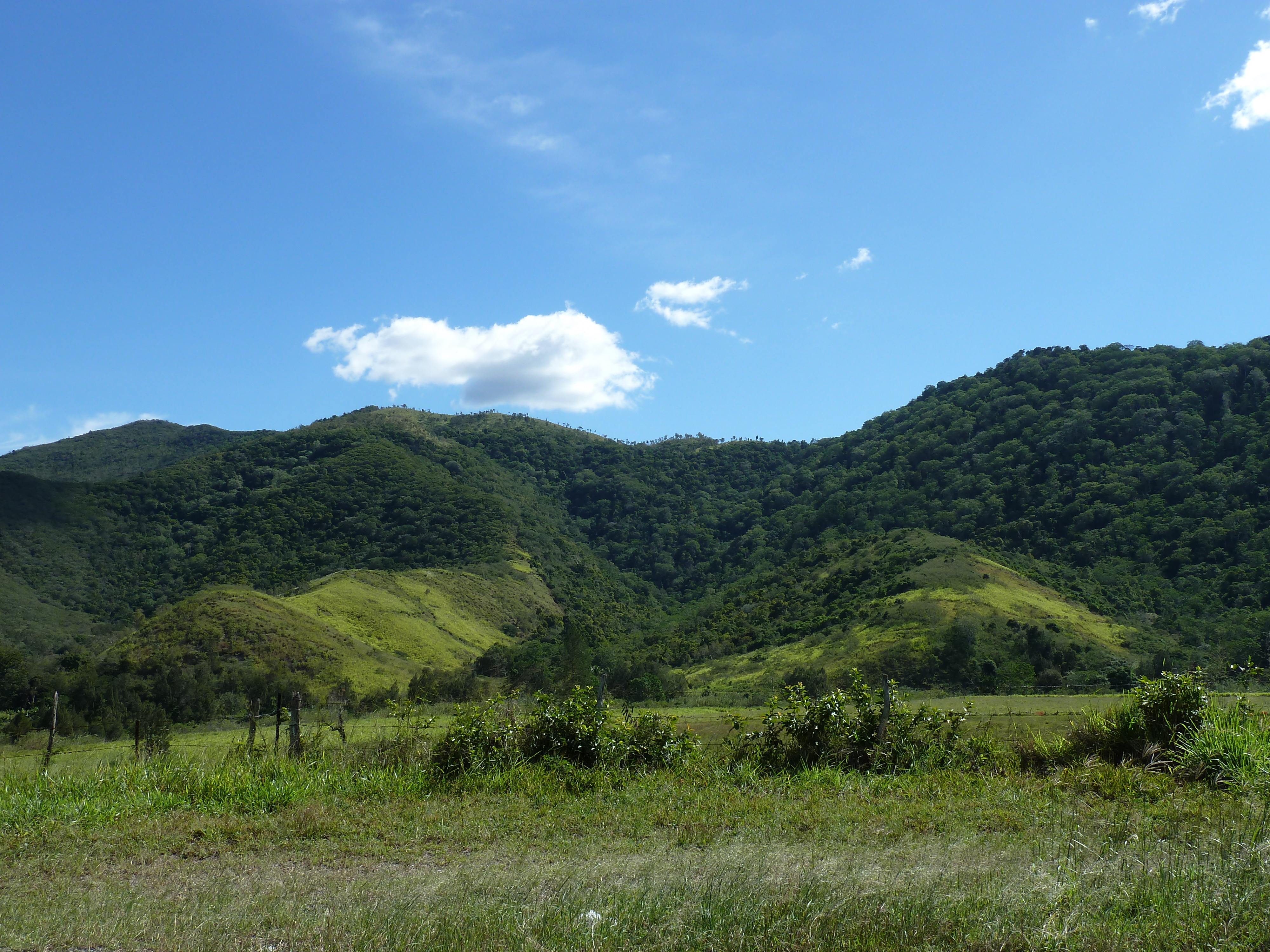 รูปถ่าย นิวแคลิโดเนีย(New Caledonia) ถนนจากตงตูตาไปทีโอ(Tontouta to Thio road) 2010-05 2