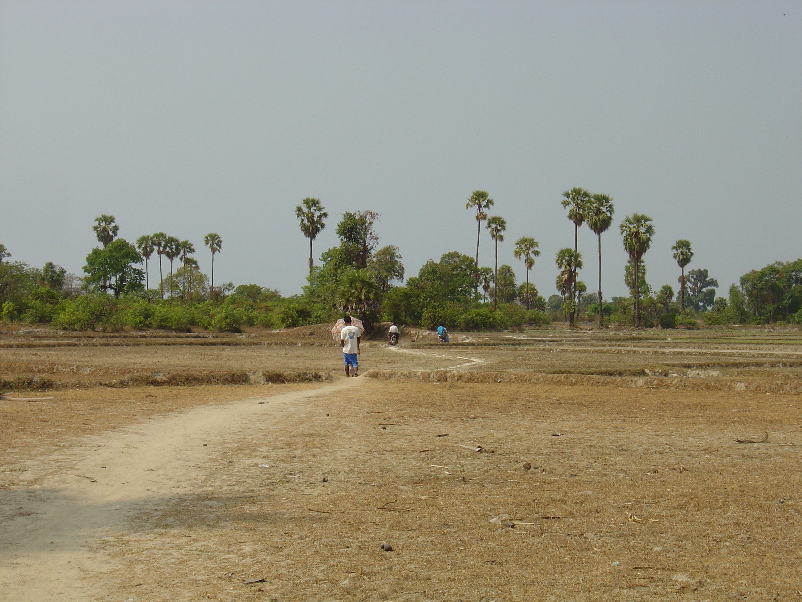 รูปถ่าย พม่า(Myanmar) หาดหม่องมะกันด้านเหนือ(Maungmagan North) 2005-01 4
