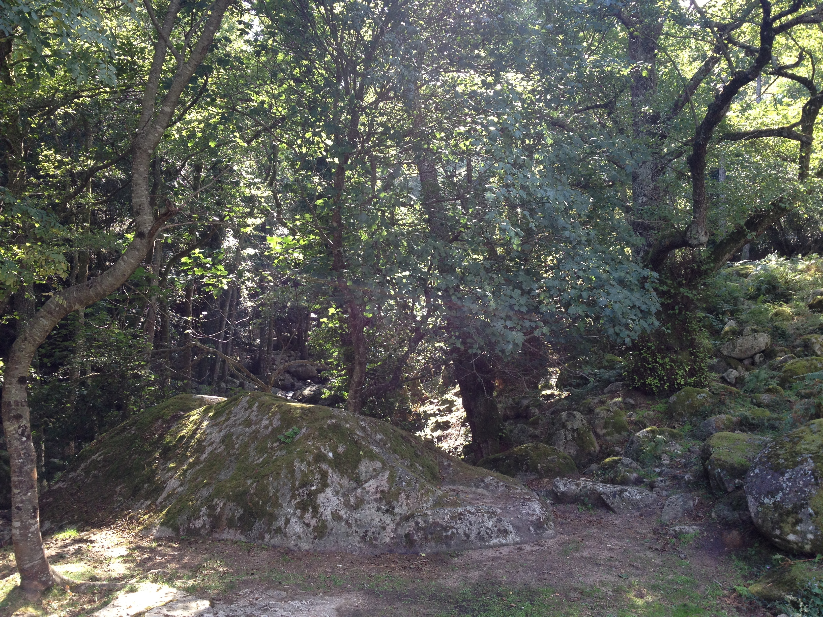 รูปถ่าย ฝรั่งเศส(France) คอร์สิคา(Corsica) บาแวลลา(Bavella) 2012-09 68