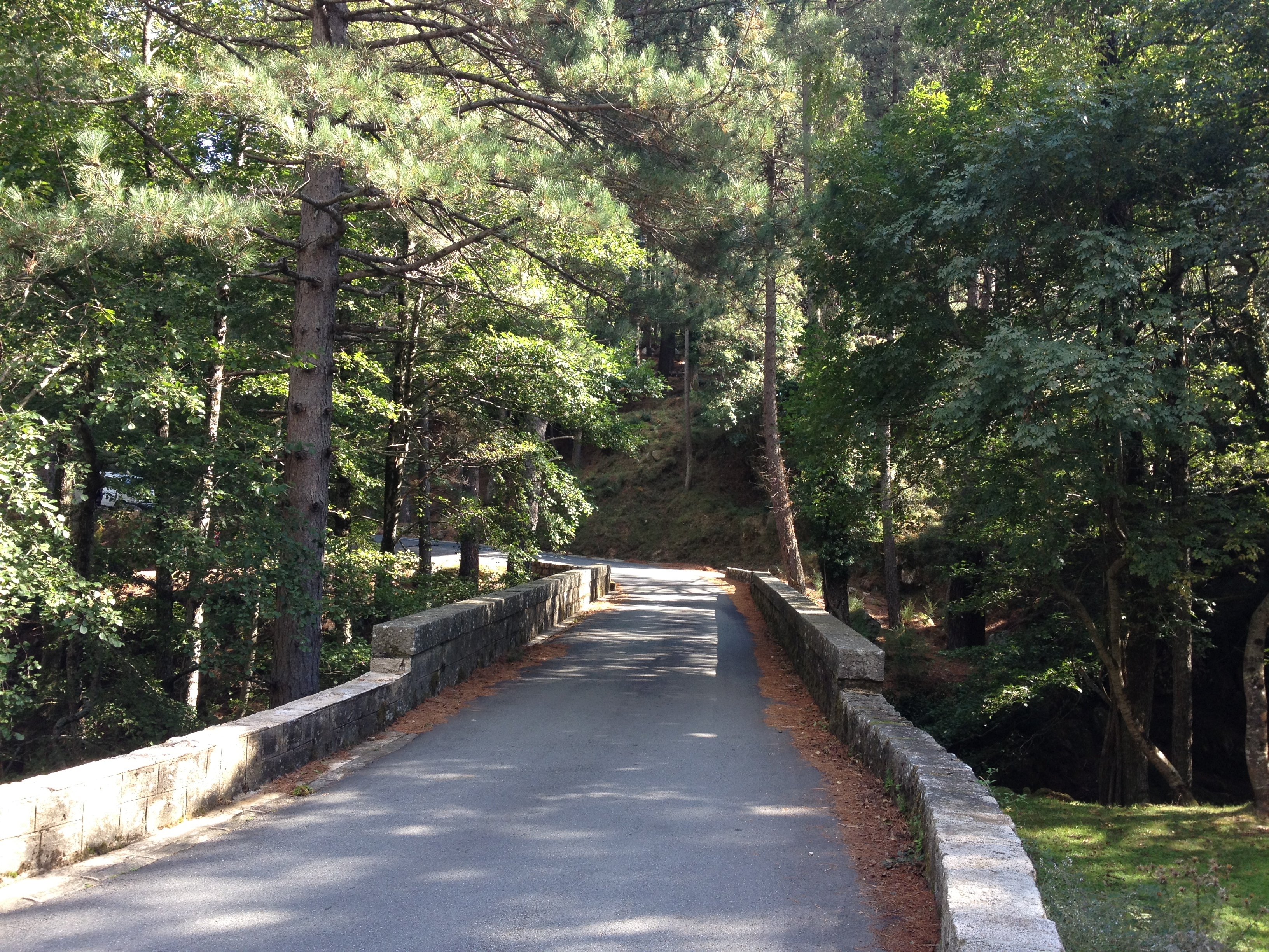 รูปถ่าย ฝรั่งเศส(France) คอร์สิคา(Corsica) บาแวลลา(Bavella) 2012-09 77