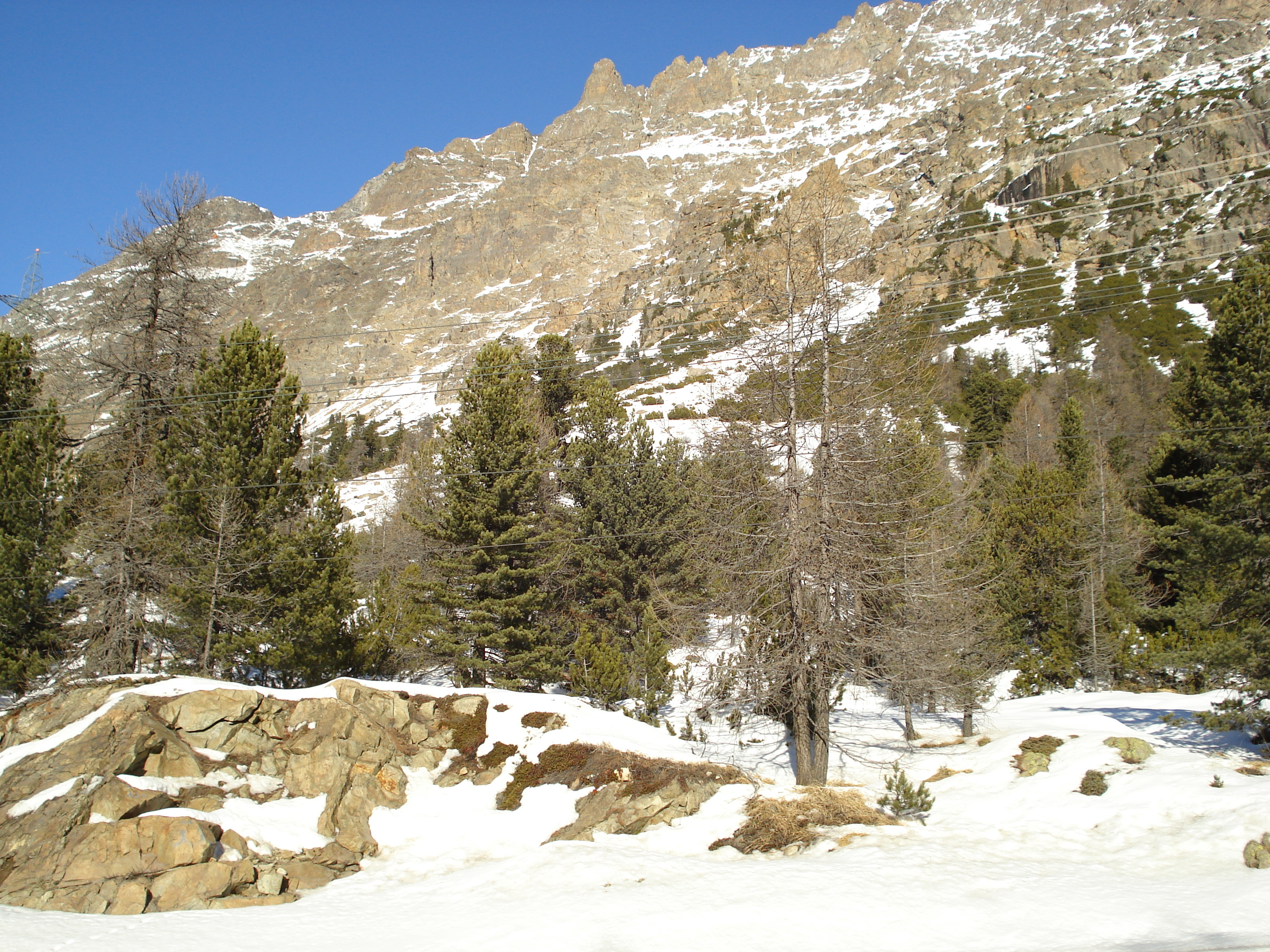 รูปถ่าย สวิสเซอร์แลนด์(Switzerland) จากปอนเตรซีนาไปลาโกเบียนโก(From Pontresina to Lago Bianco) 2007-01 46