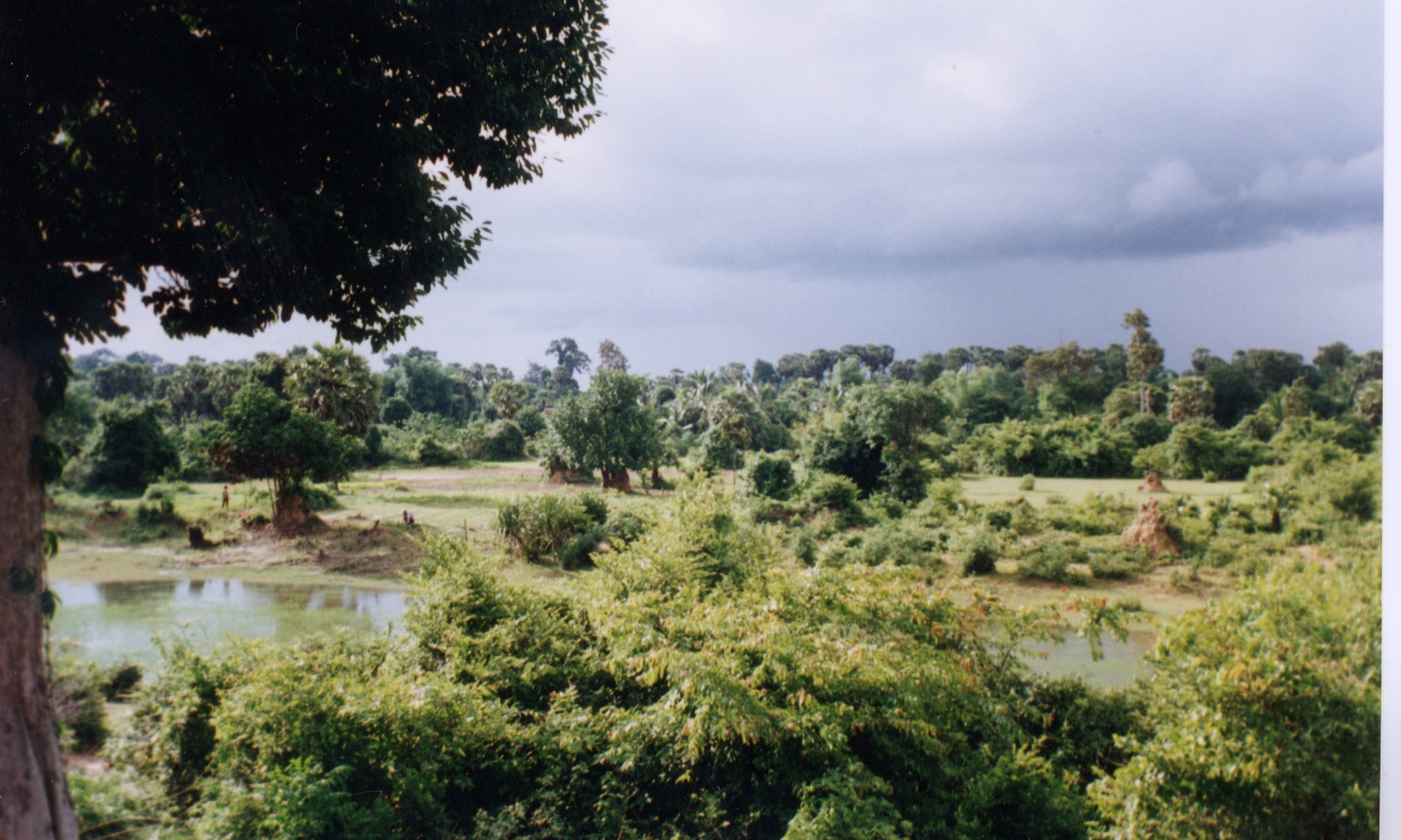 รูปถ่าย กัมพูชา(Cambodia) นครวัต(Angkor) 1996-06 12