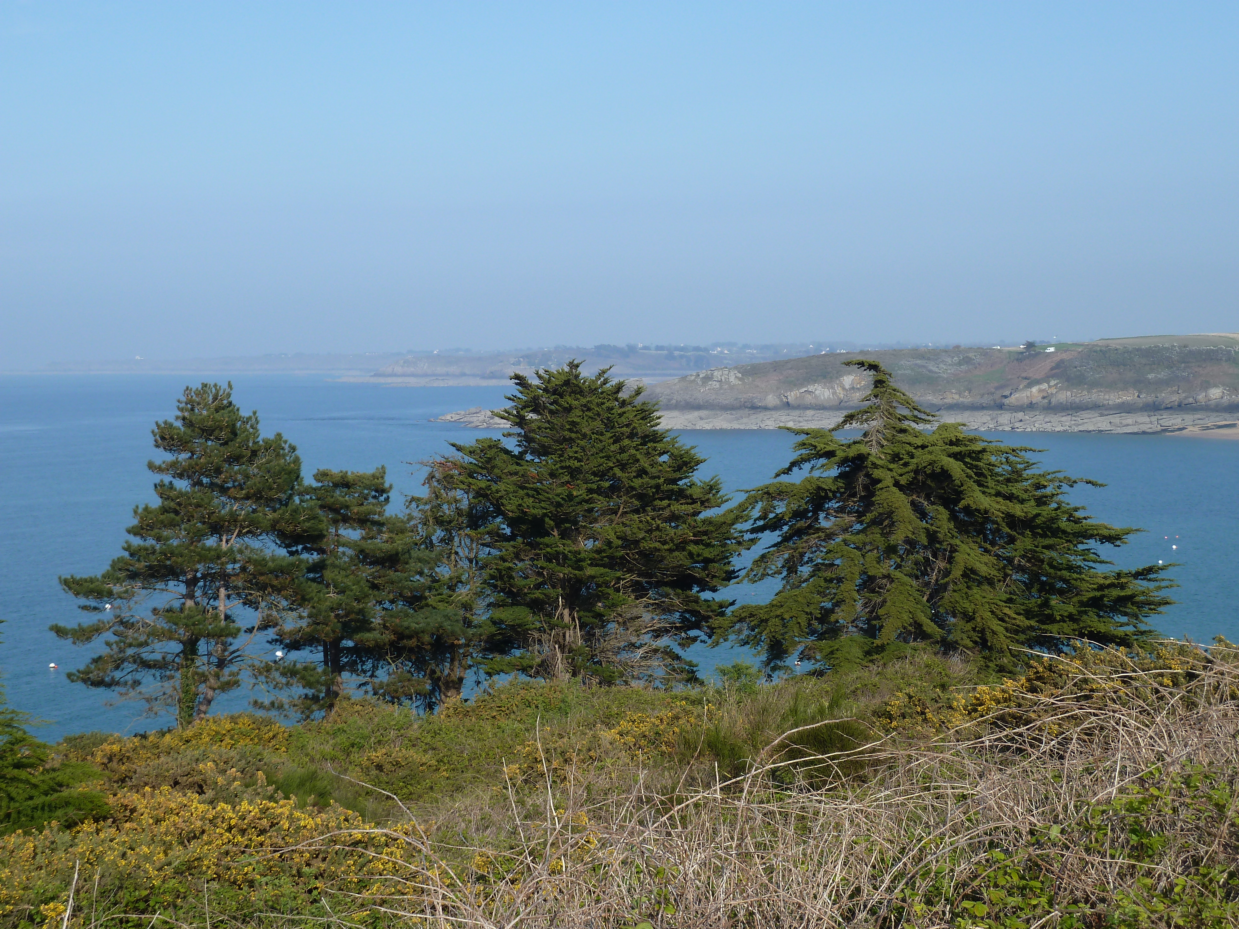 รูปถ่าย ฝรั่งเศส(France) แซ็งกูลง(St Coulomb) 2010-04 4