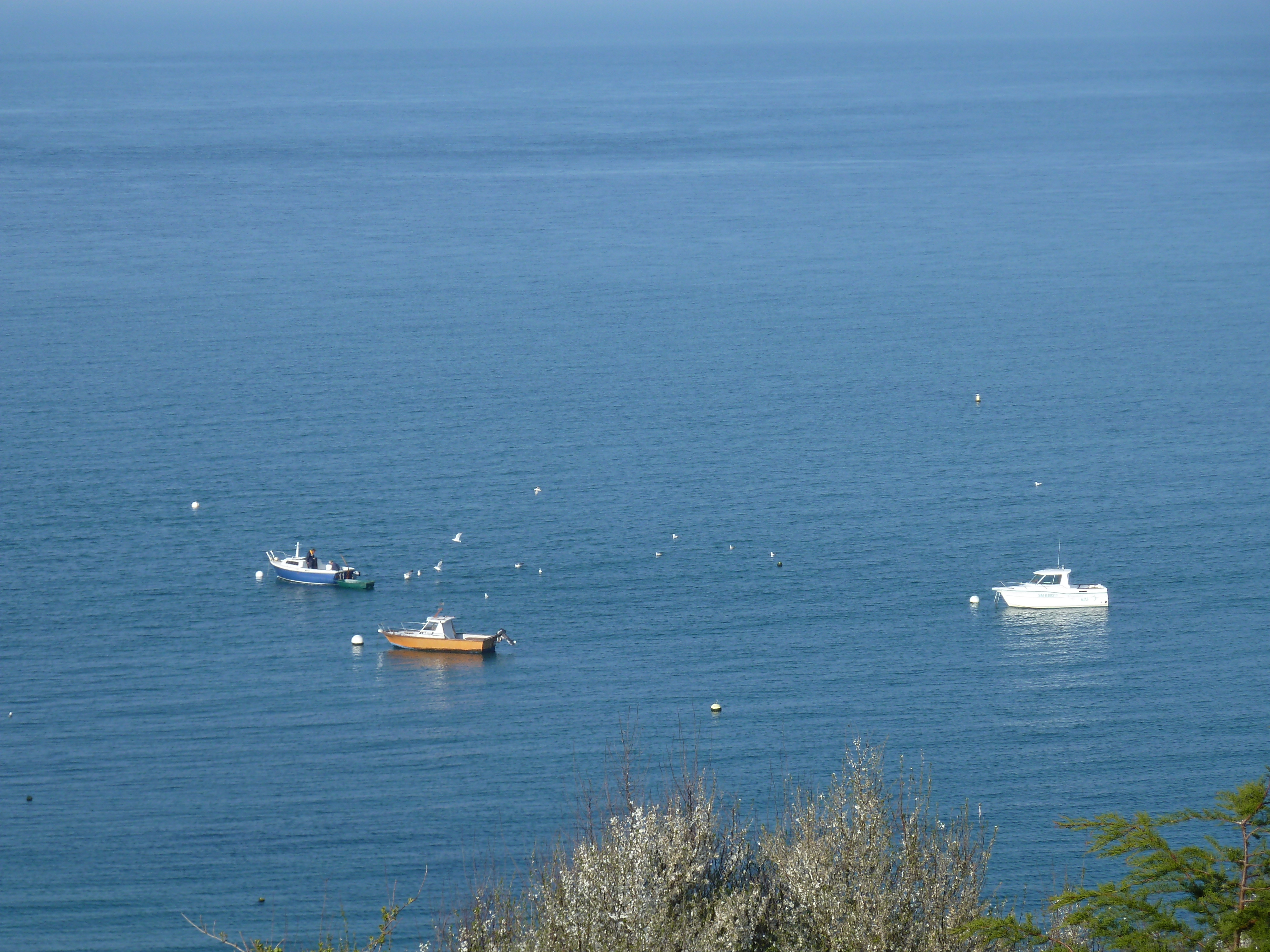 รูปถ่าย ฝรั่งเศส(France) แซ็งกูลง(St Coulomb) 2010-04 15