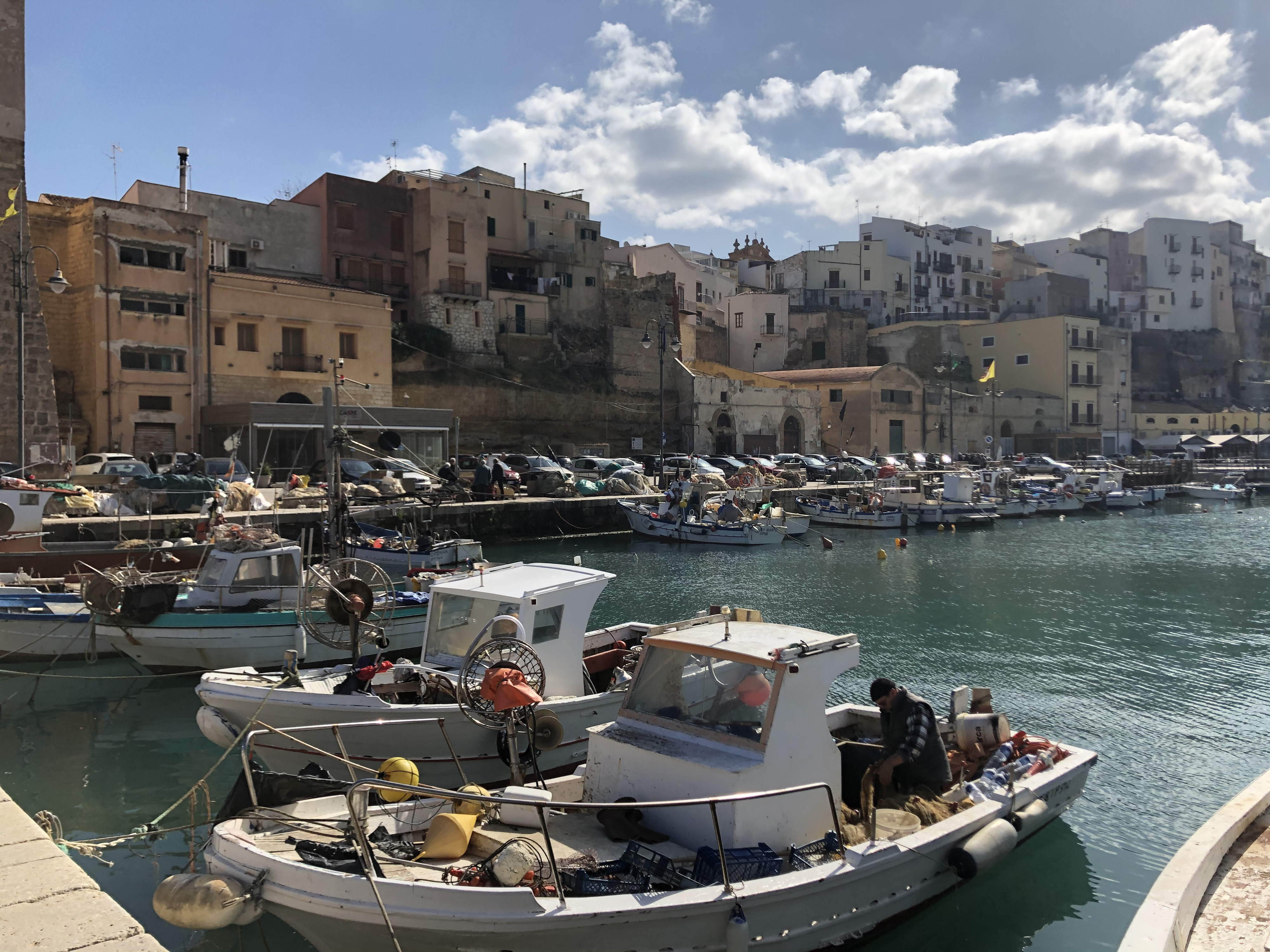 รูปถ่าย อิตาลี(Italy) ซิซิลี(Sicily) กัสเตลลัมมาเรเดลโกลโฟ(Castellammare del Golfo) 2020-02 19