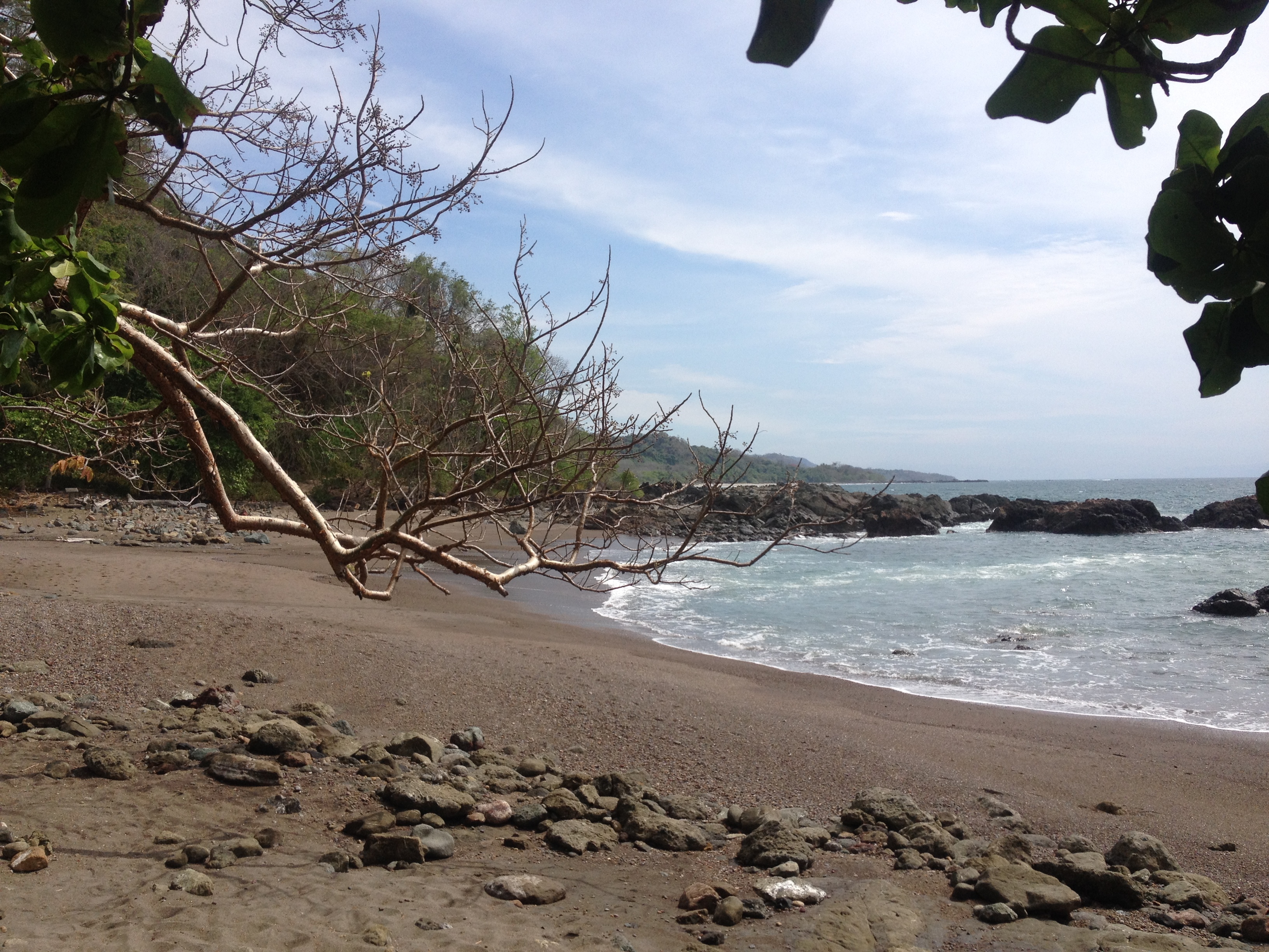 รูปถ่าย คอสตาริกา(Costa Rica) มอนเตซูมา(Montezuma) 2015-03 626