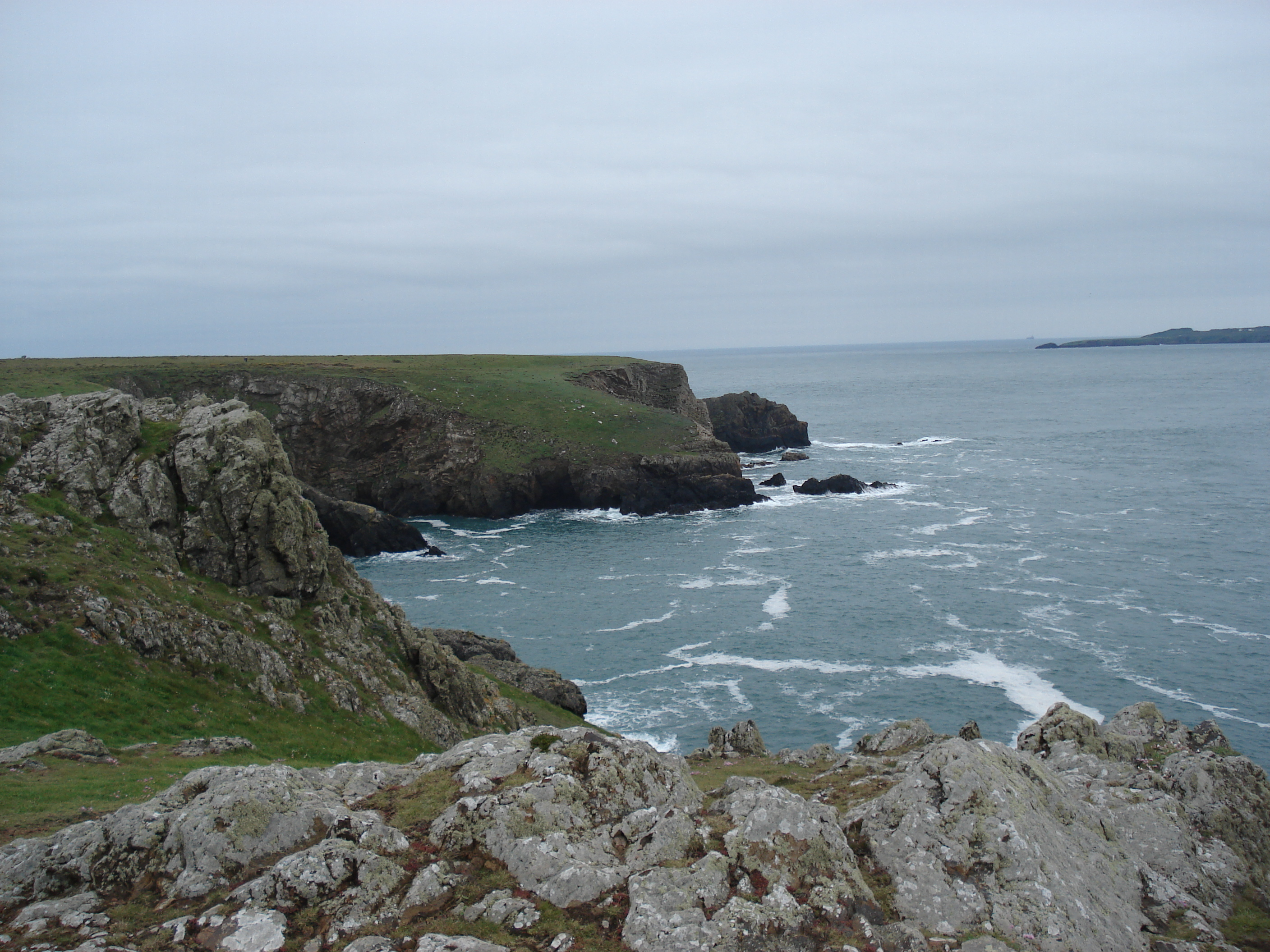 รูปถ่าย อังกฤษ(United Kingdom) เปมโบรคเชอร์(Pembrokeshire) มาร์ตินส์เฮเวน(Martins Havens) 2006-05 26
