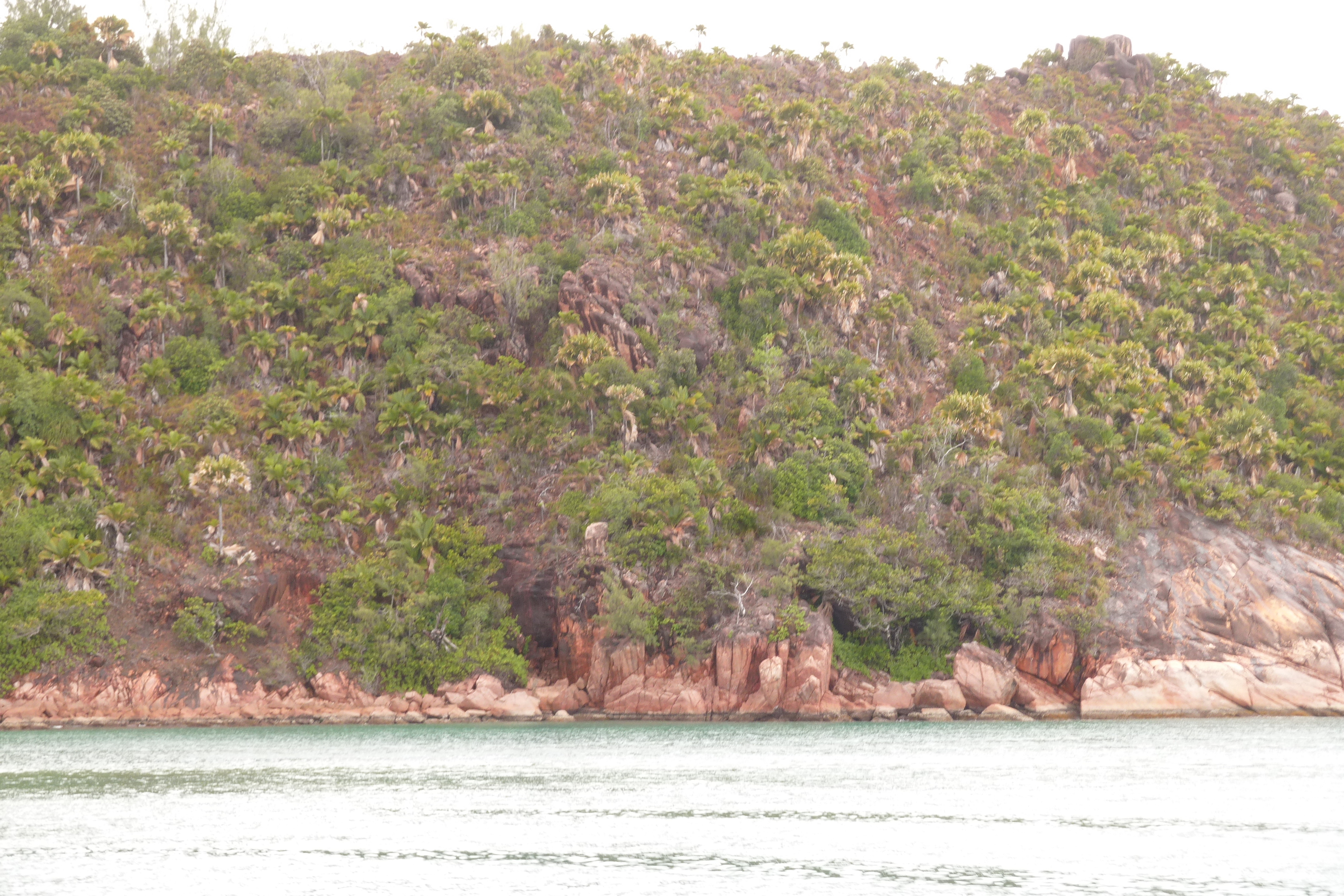 รูปถ่าย เซเชลส์(Seychelles) อ่าวอ็องส์ปอสเซสซียง(Anse Possession) 2011-10 92