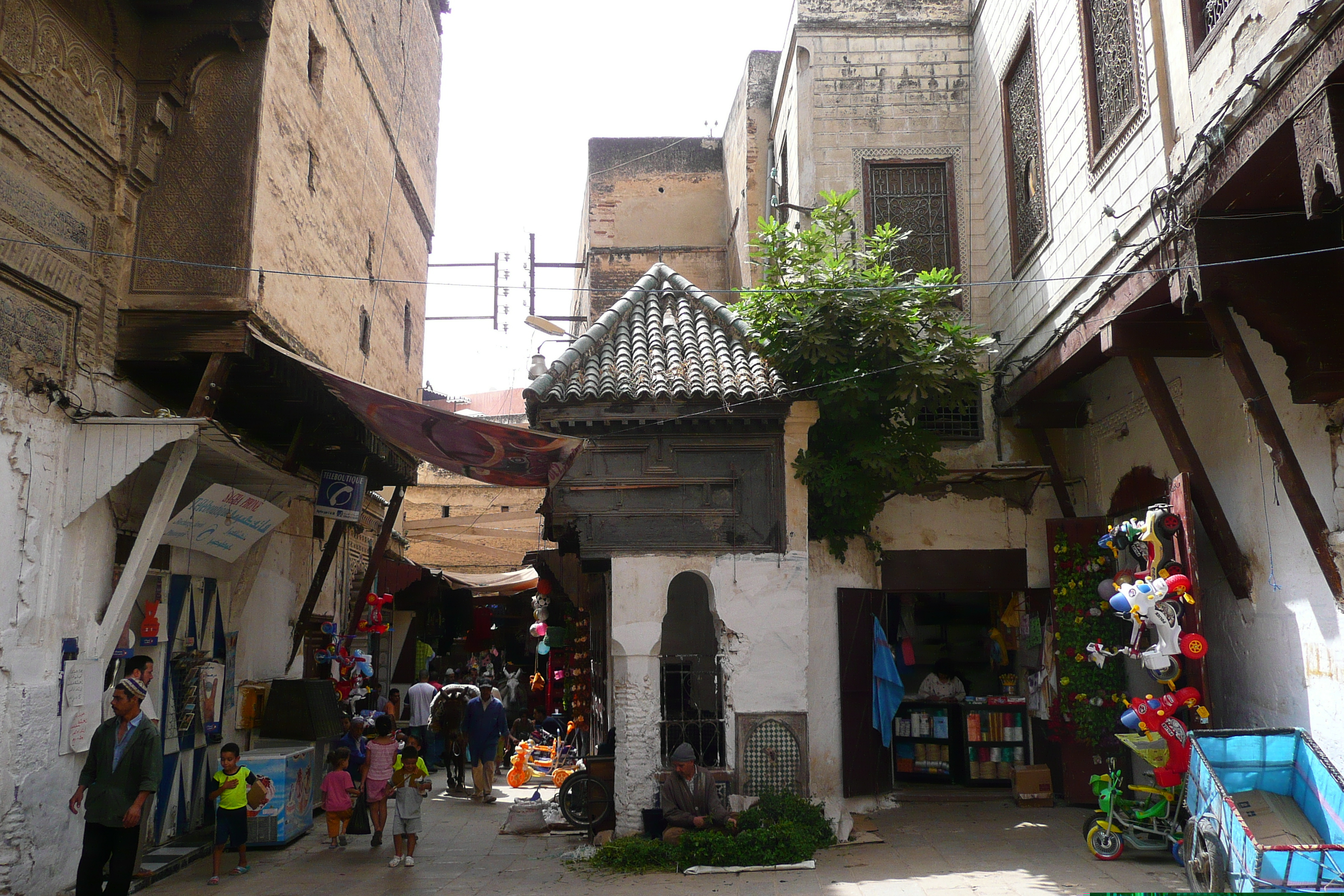 รูปถ่าย โมร็อกโก(Morocco) เฟส(Fes) 2008-07 13