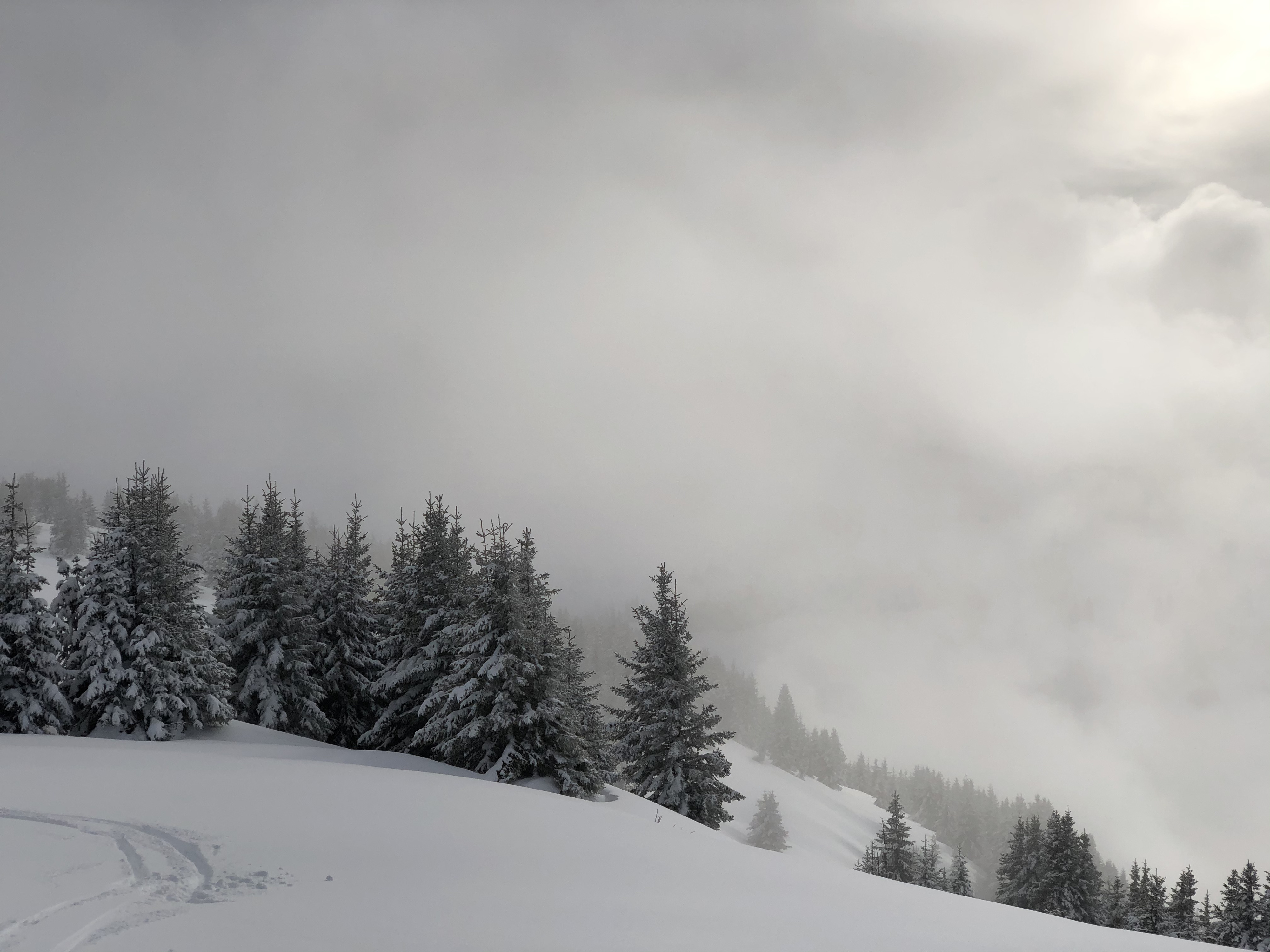 รูปถ่าย ฝรั่งเศส(France) ปรา-ซูร์-อาร์ลี(Praz sur Arly) 2019-12 465
