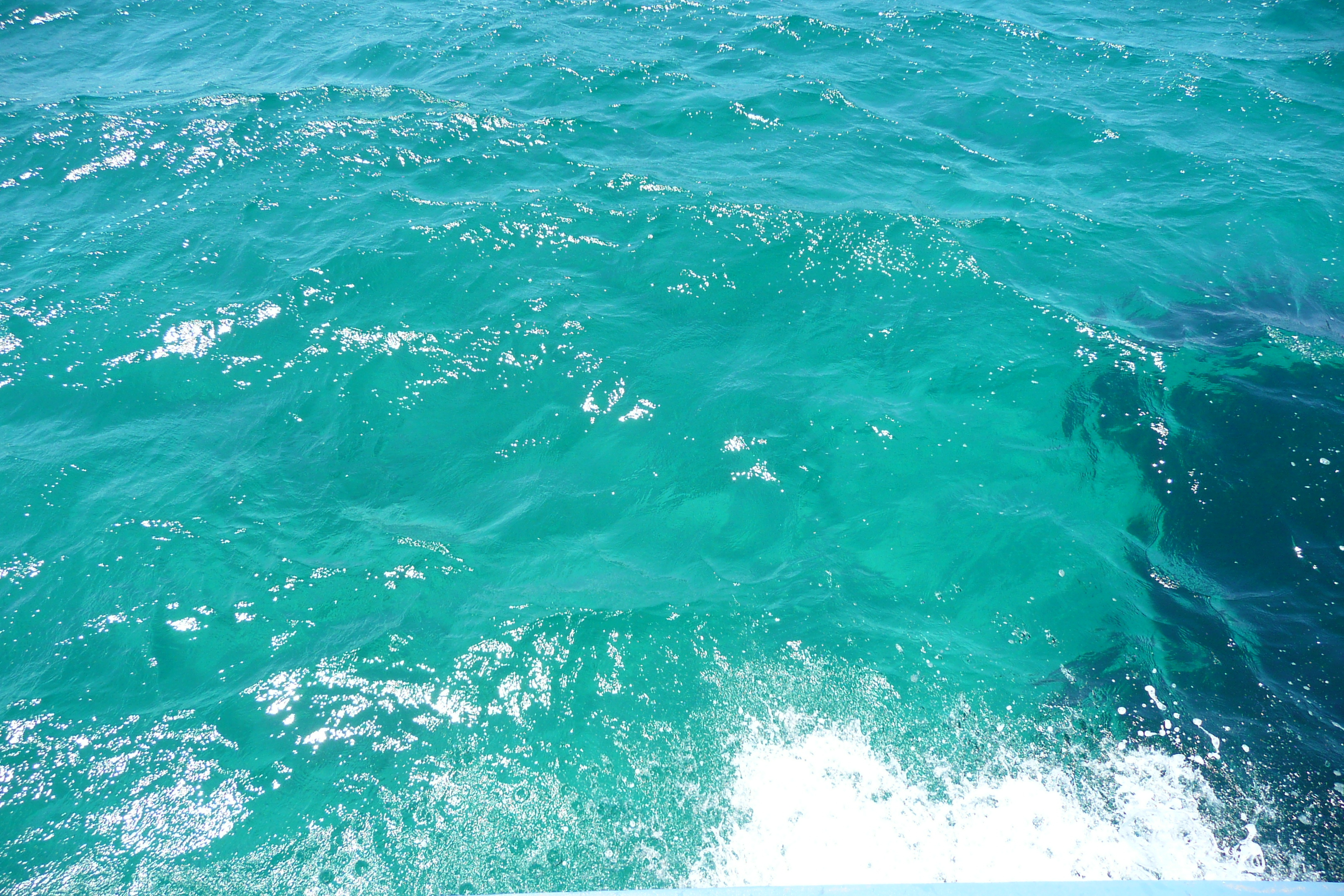 รูปถ่าย ฝรั่งเศส(France) เกาะปอร์เกอรอล(Porquerolles Island) ล่องเรือไปเกาะปอร์เกอรอล(Boat trip to Porquerolles) 2008-05 43