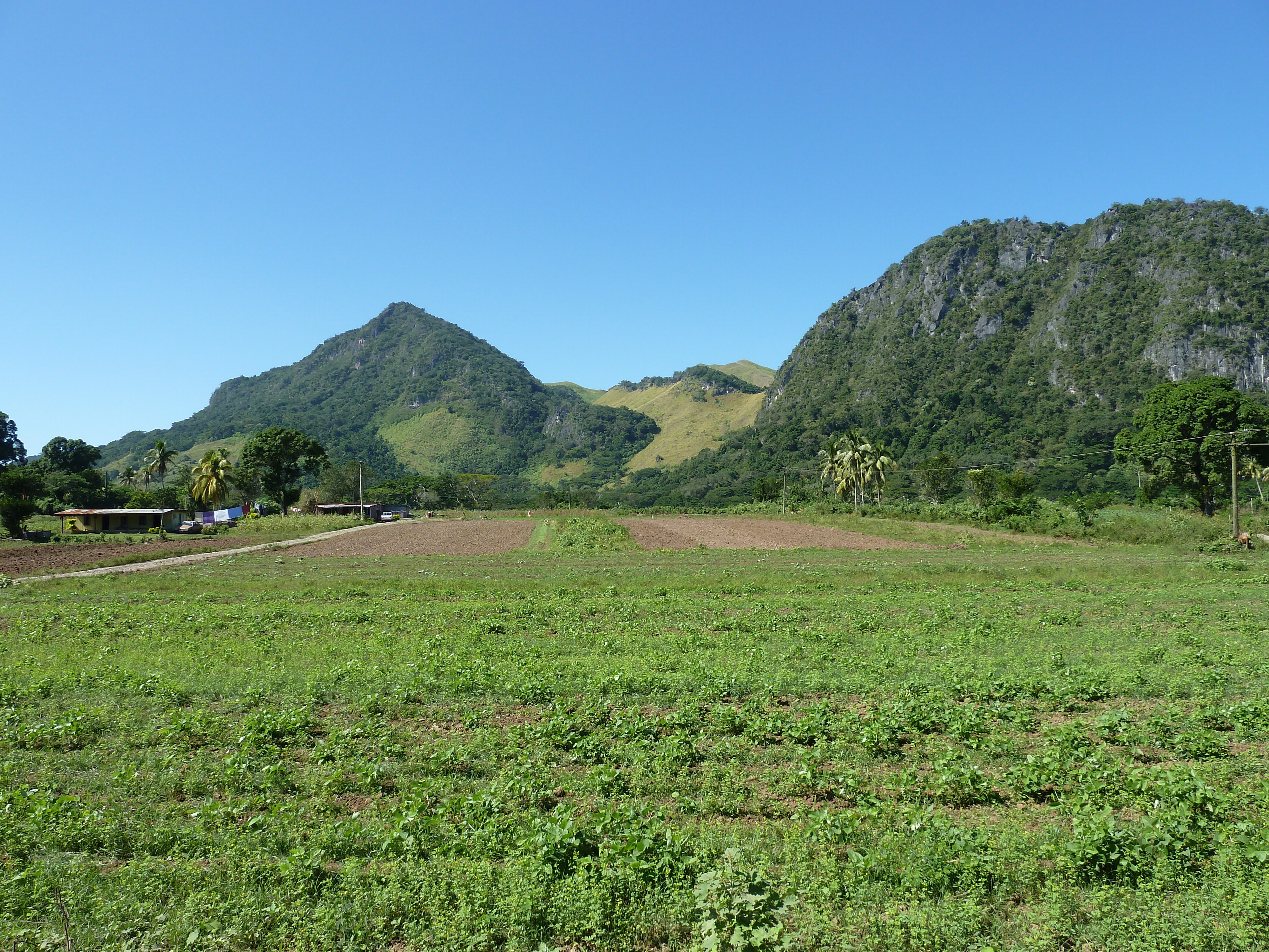 รูปถ่าย ฟิจิ(Fiji) แม่น้ำซิงกาโตกา(Sigatoka river) 2010-05 6