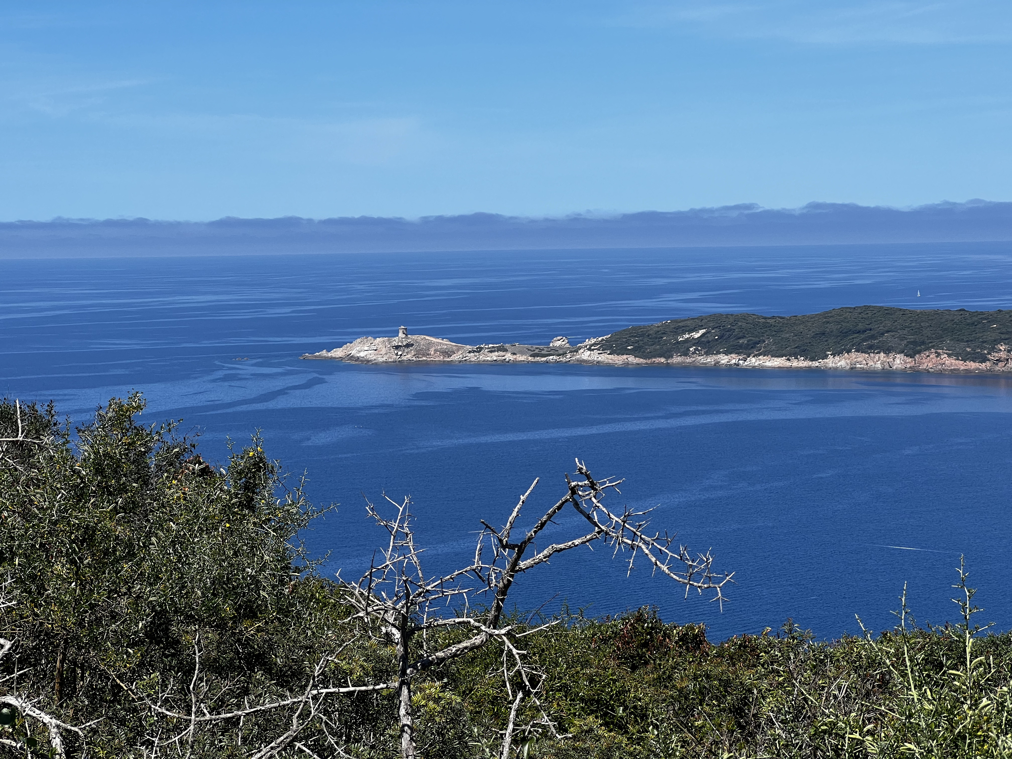 รูปถ่าย ฝรั่งเศส(France) คอร์สิคา(Corsica) หาดอาโรเน(Arone Beach) 2023-05 50