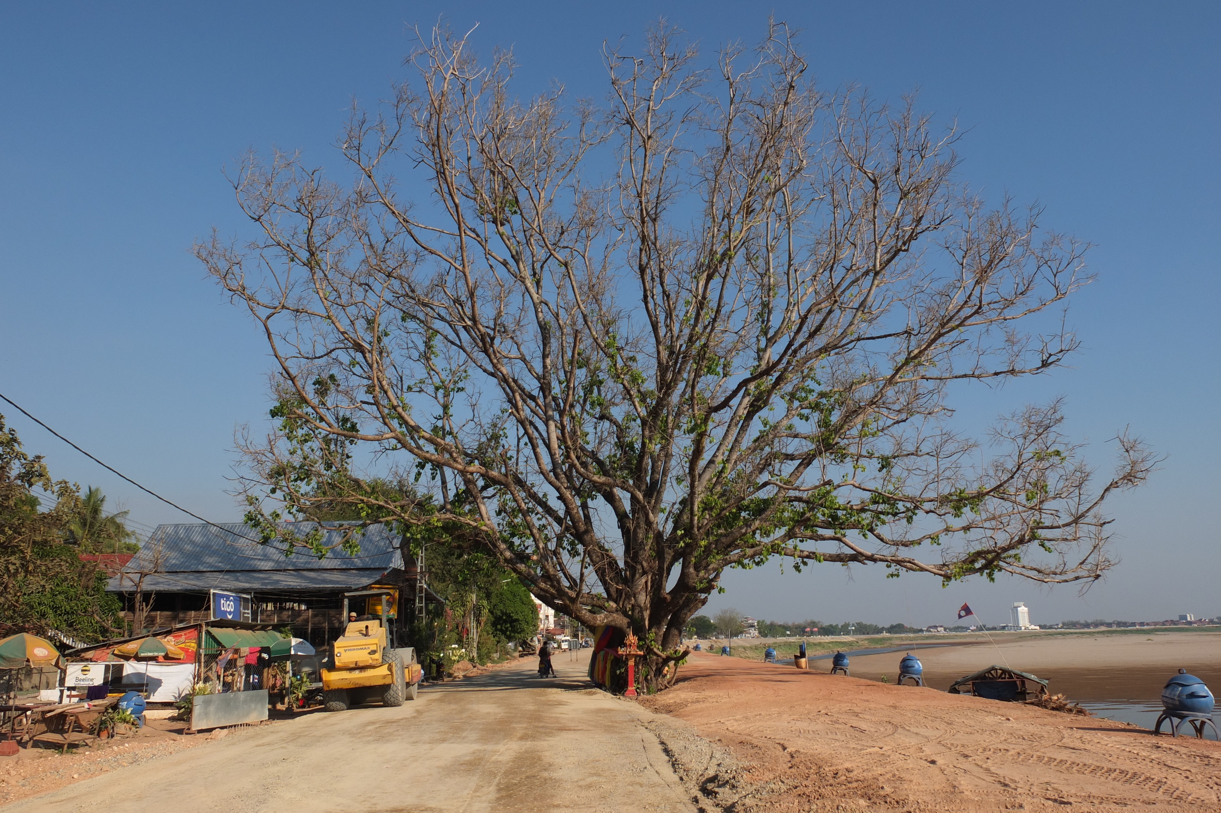 รูปถ่าย ลาว(Laos) เวียงจันทน์(Vientiane) 2012-12 230