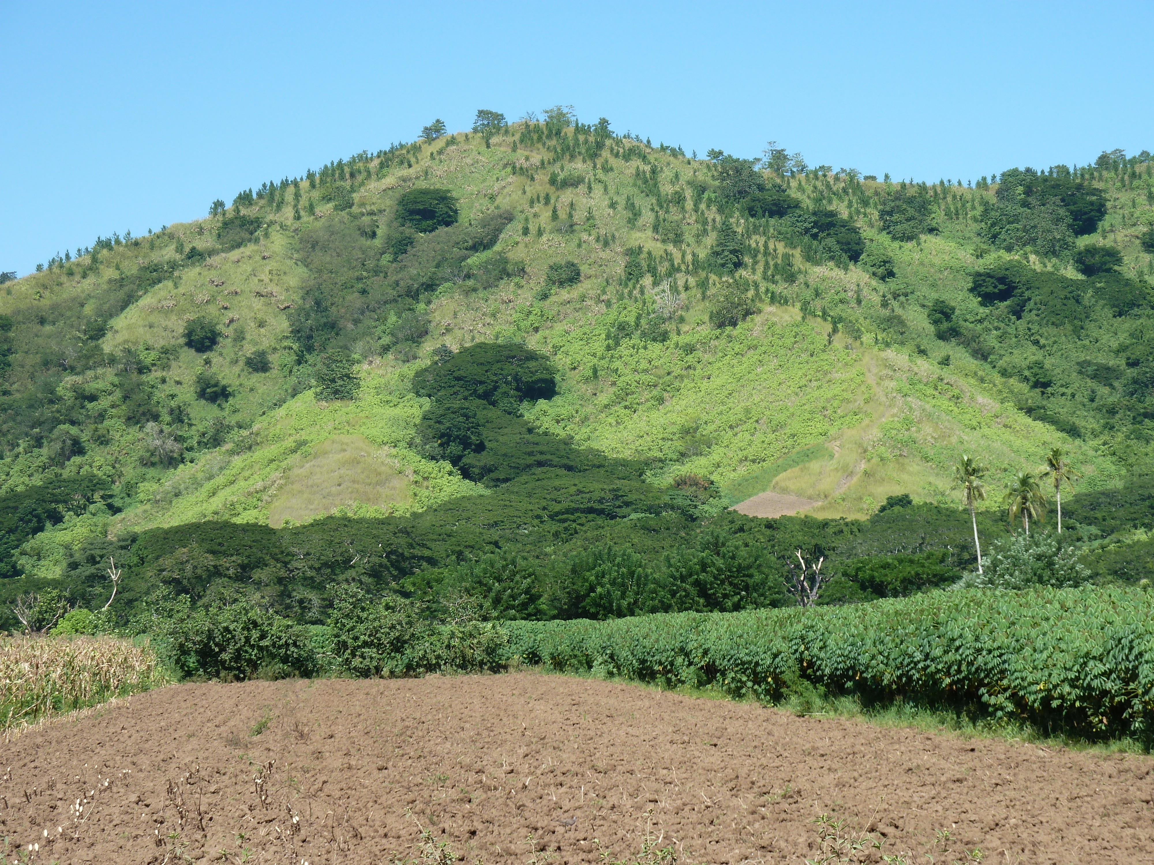 รูปถ่าย ฟิจิ(Fiji) แม่น้ำซิงกาโตกา(Sigatoka river) 2010-05 39