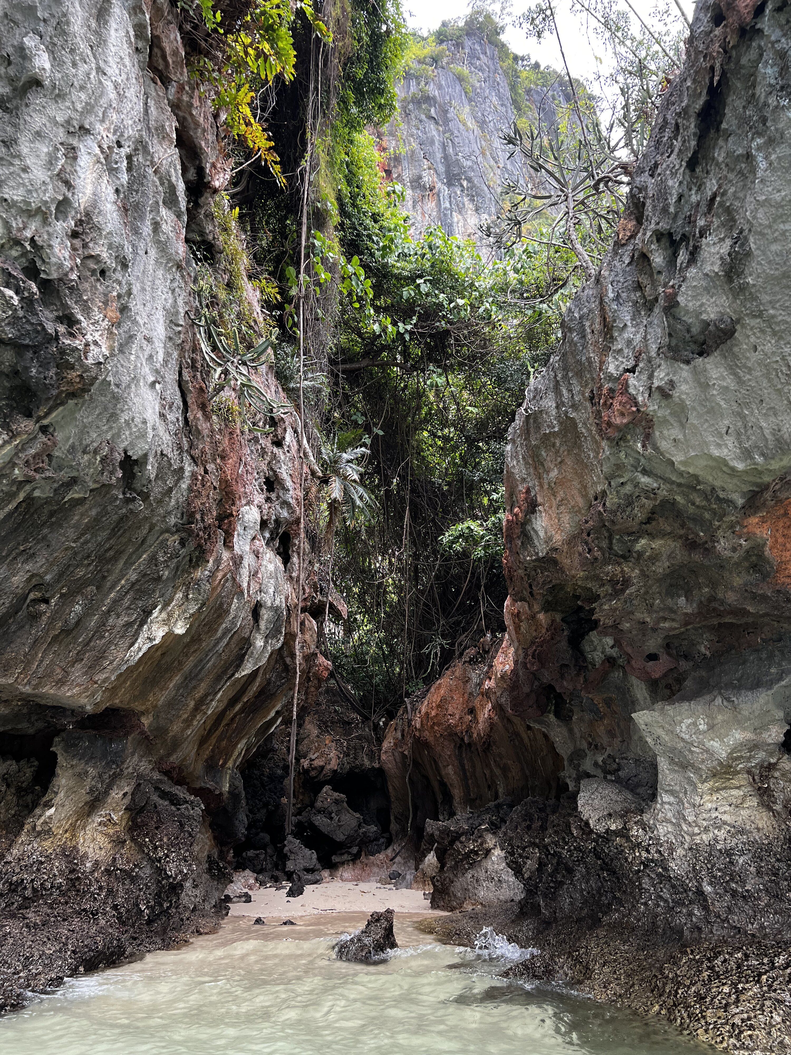 รูปถ่าย ไทย(Thailand) กระบี่(Krabi) 2023-01 158
