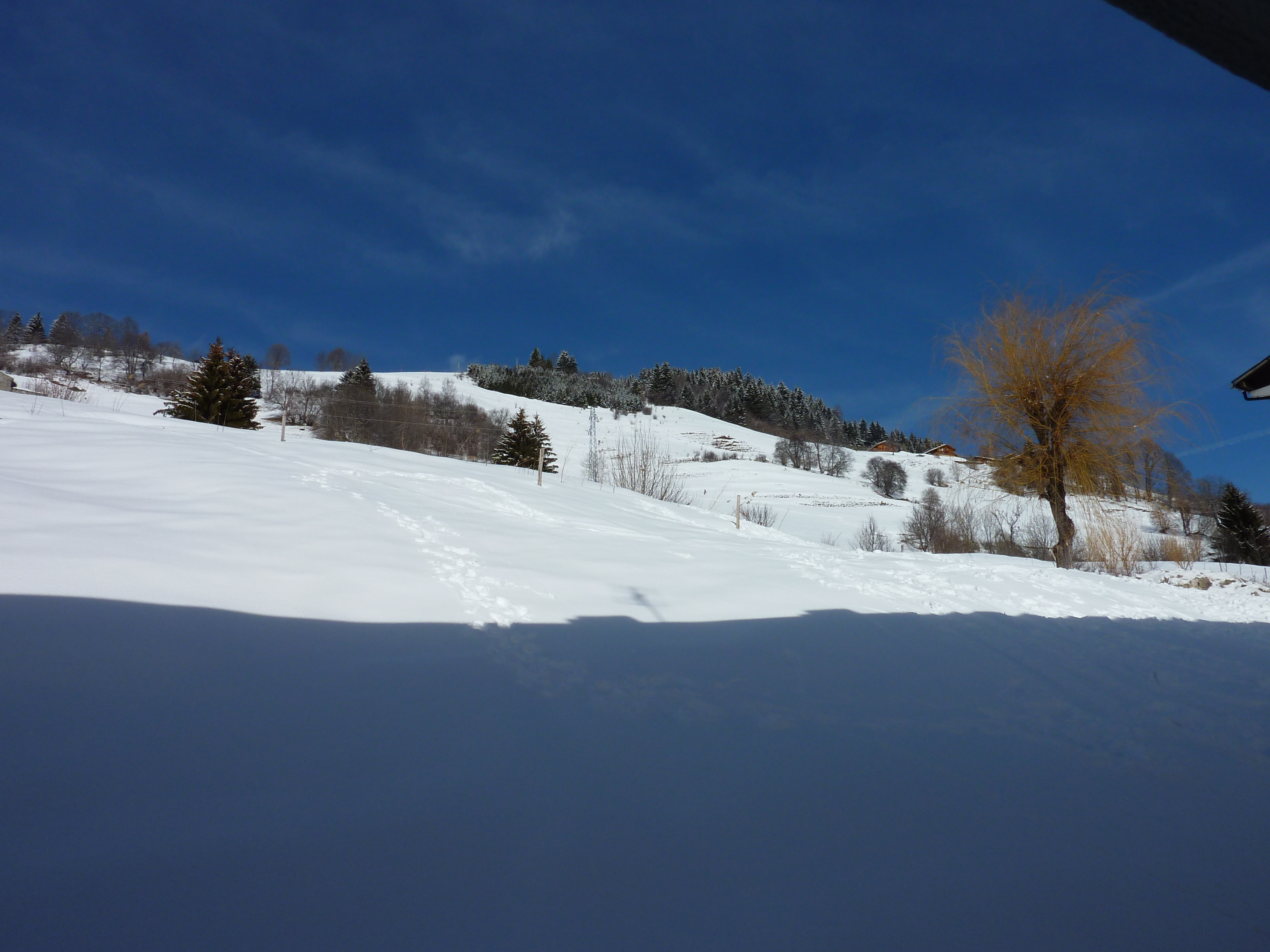 รูปถ่าย ฝรั่งเศส(France) เมแฌฟว์(Megeve) 2010-02 131