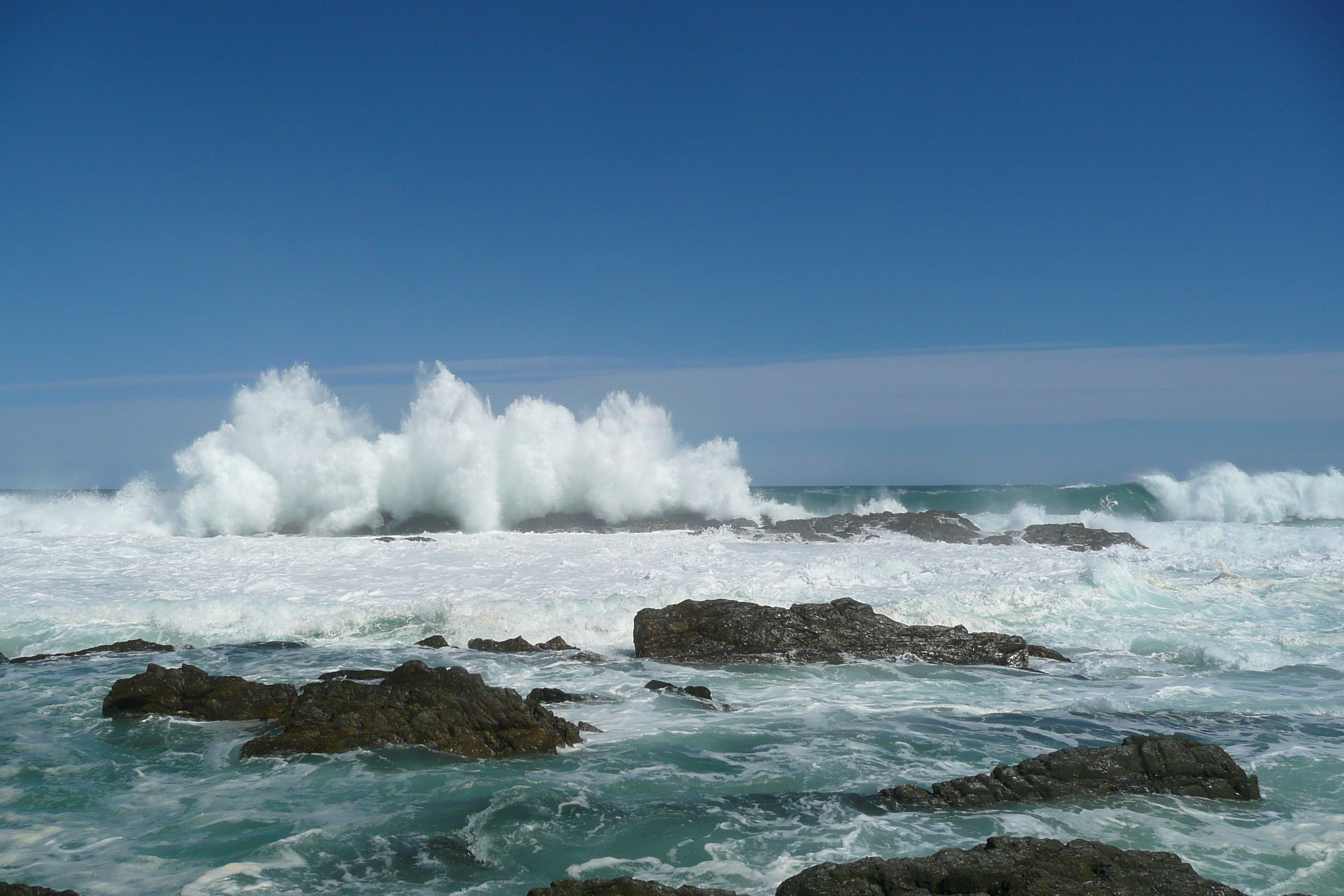 รูปถ่าย แอฟริกาใต้(South Africa) อุทยานแห่งชาติซิตซิคัมมา(Tsitsikamma National Park) 2008-09 225