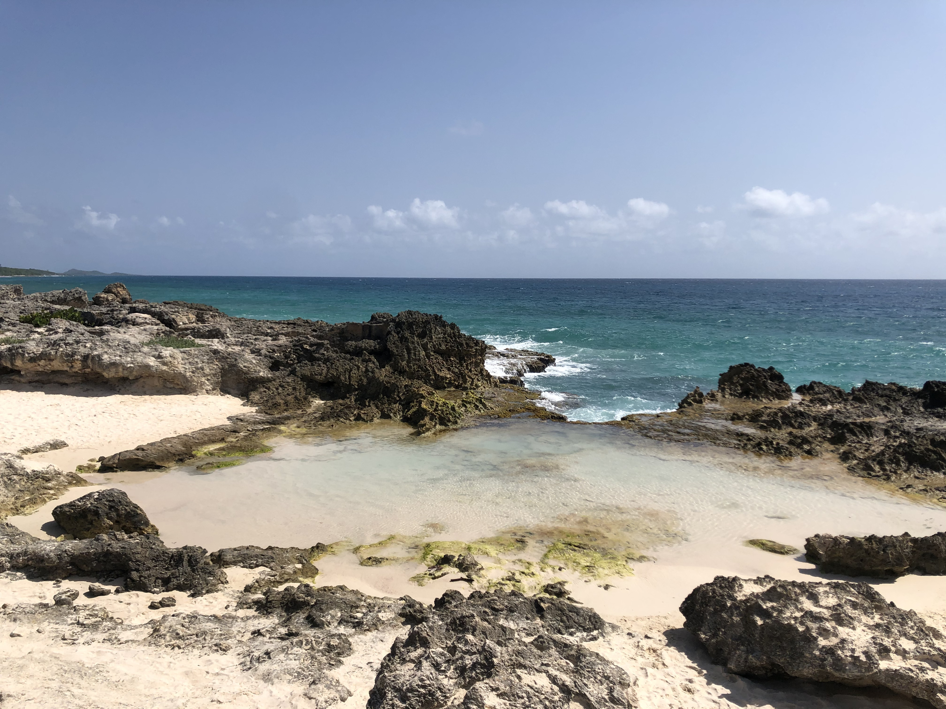 รูปถ่าย กวาเดอลูป(Guadeloupe) แหลมคาสเซิลพอยต์(Castle Point) 2021-02 328