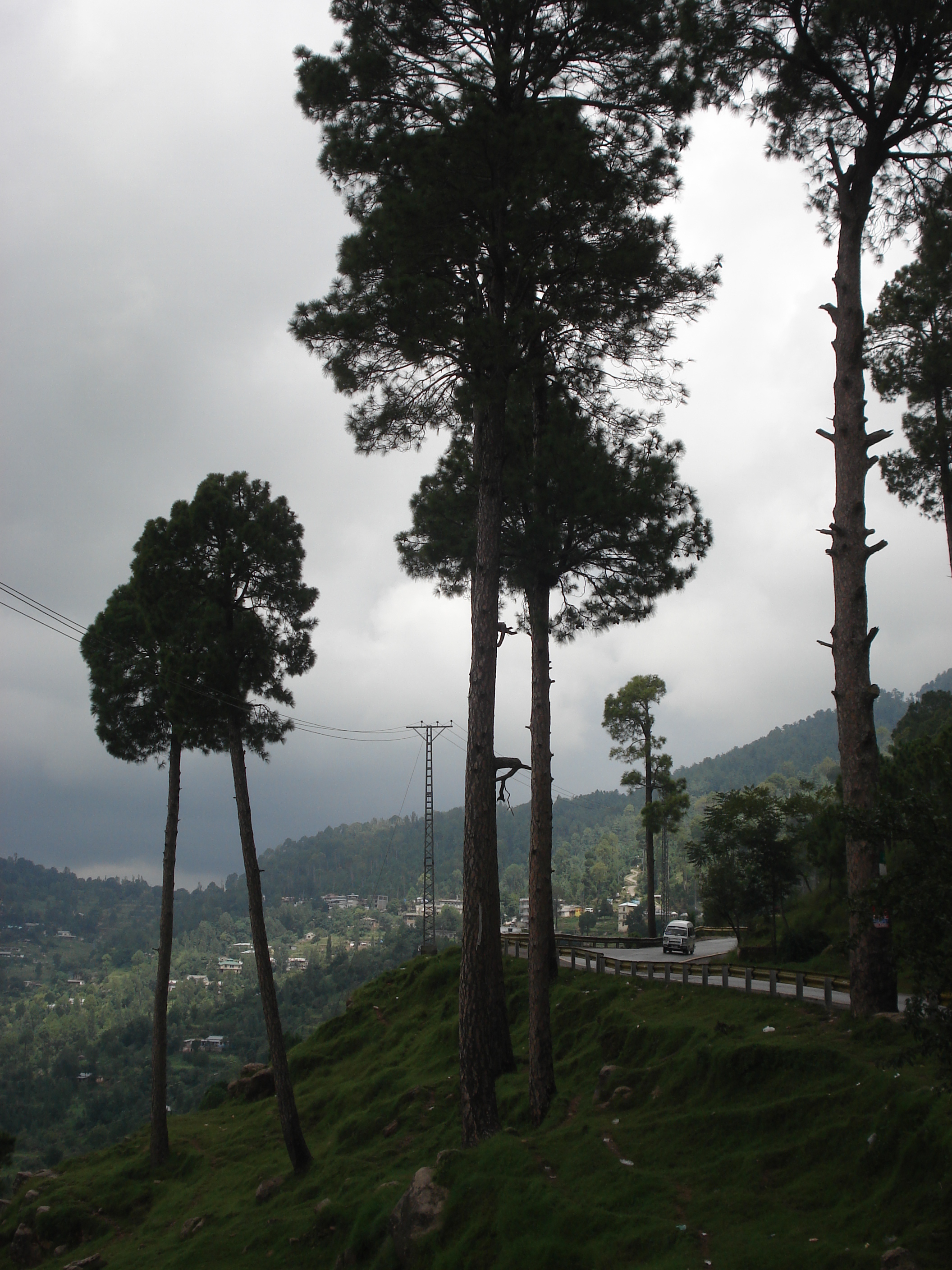 รูปถ่าย ปากีสถาน(Pakistan) มืร์รี(Murree) 2006-08 6