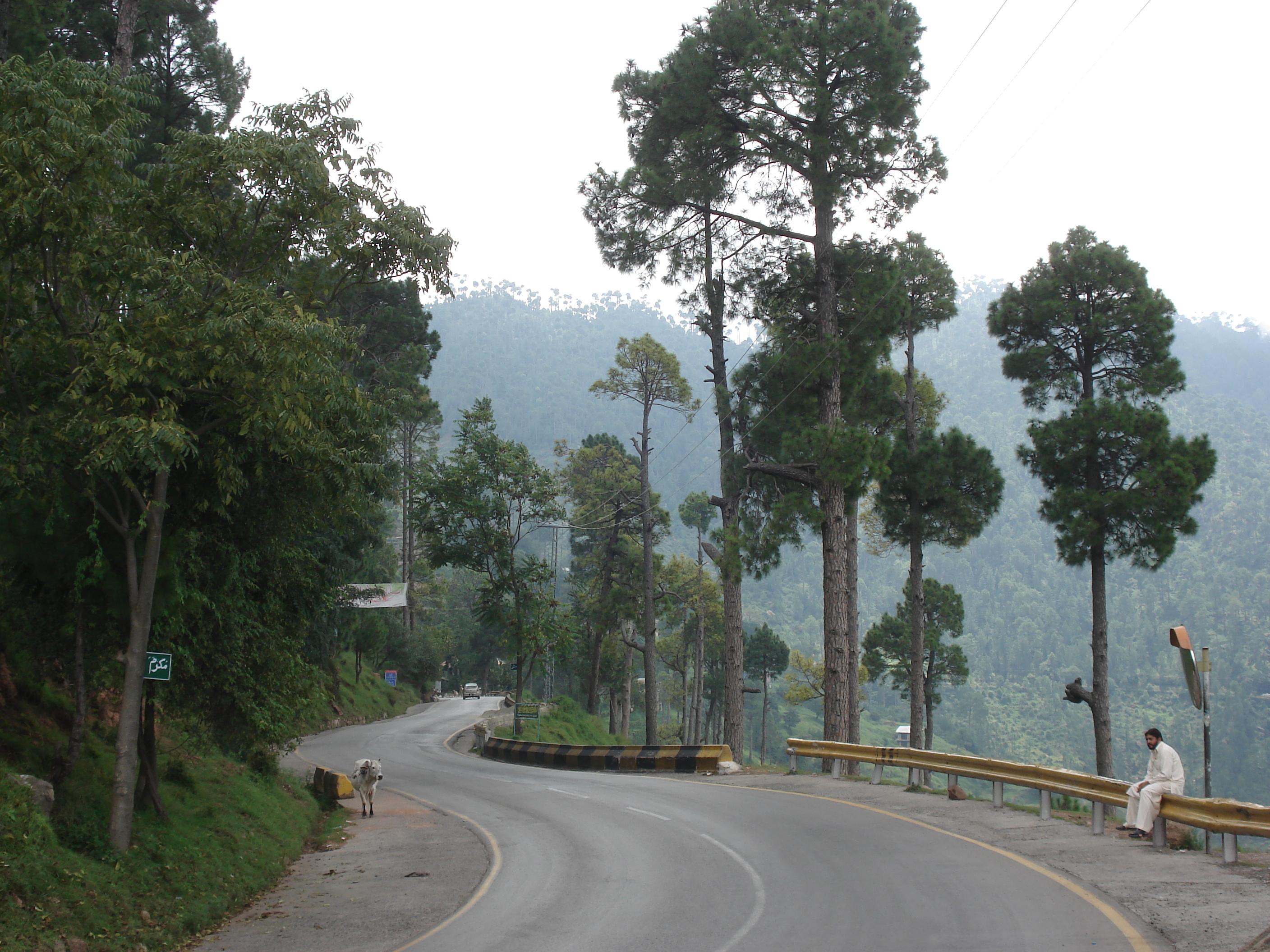 รูปถ่าย ปากีสถาน(Pakistan) ถนนจากอิสลามาบัดไปมัรรี(Islamabad to Murree road) 2006-08 16