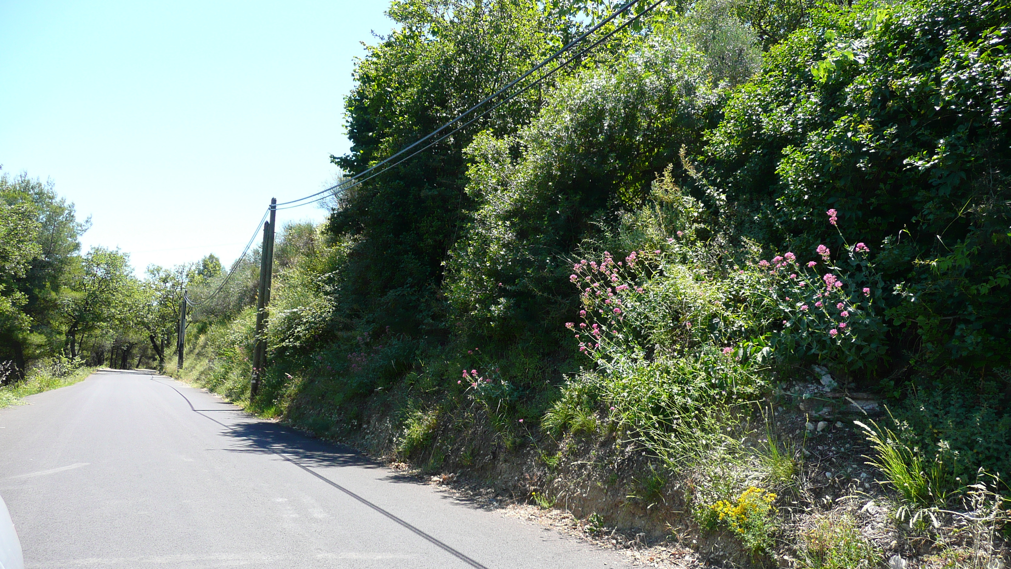 รูปถ่าย ฝรั่งเศส(France) ลาโกด(La Gaude) 2007-07 96
