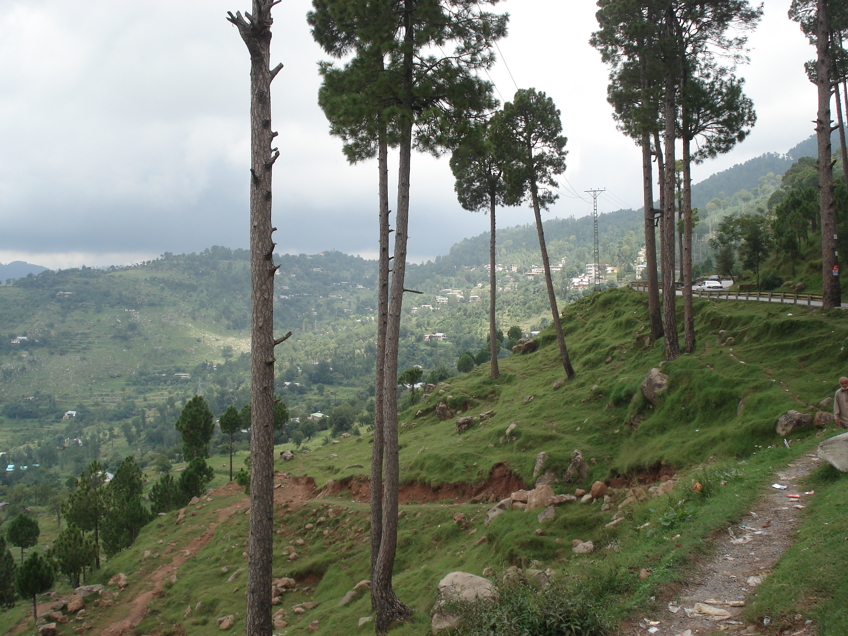 รูปถ่าย ปากีสถาน(Pakistan) ถนนจากอิสลามาบัดไปมัรรี(Islamabad to Murree road) 2006-08 40