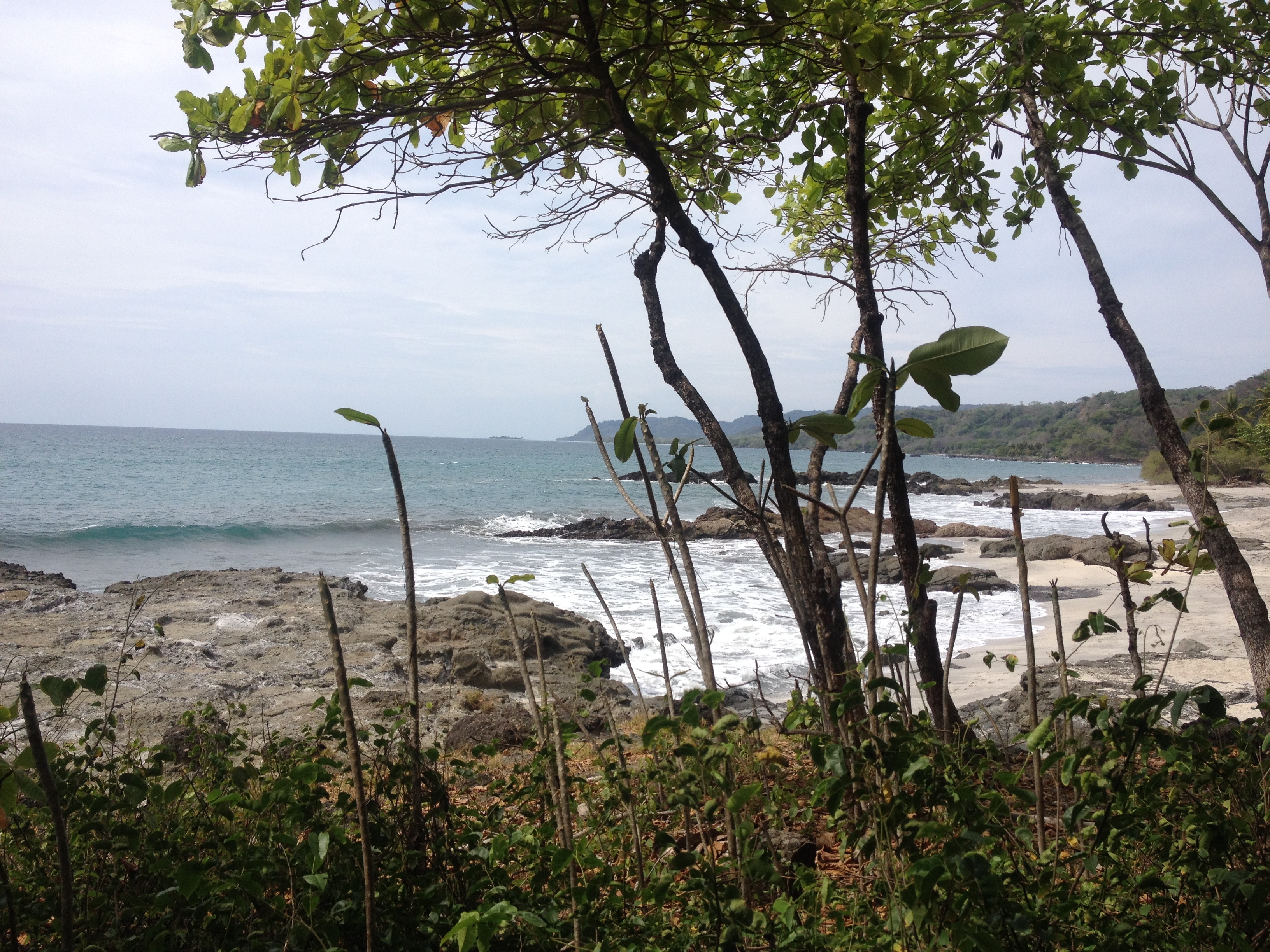 รูปถ่าย คอสตาริกา(Costa Rica) มอนเตซูมา(Montezuma) 2015-03 91