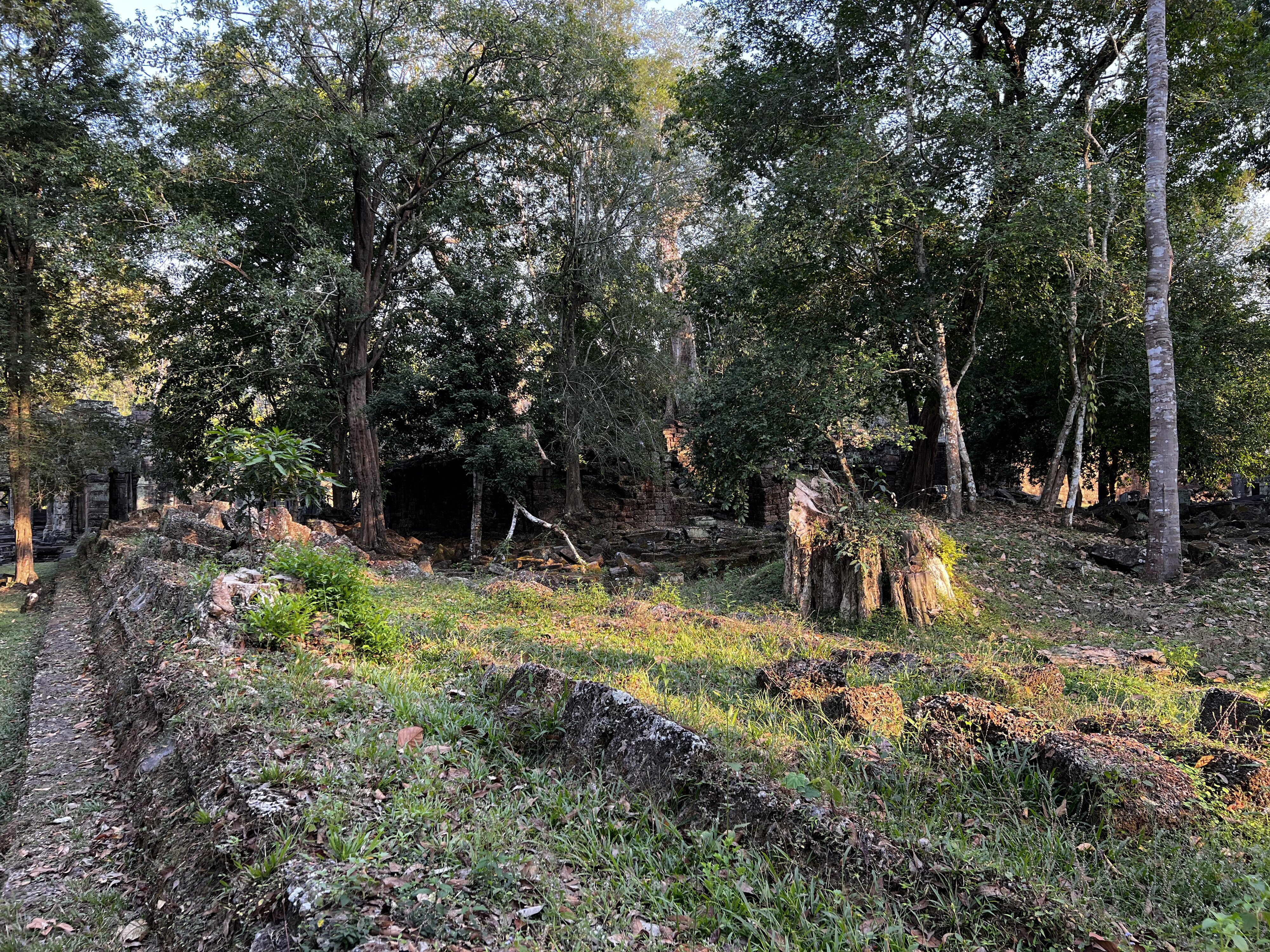 รูปถ่าย กัมพูชา(Cambodia) เสียมราฐ(Siem Reap) ปราสาทพระขรรค์(Preah Khan) 2023-01 8