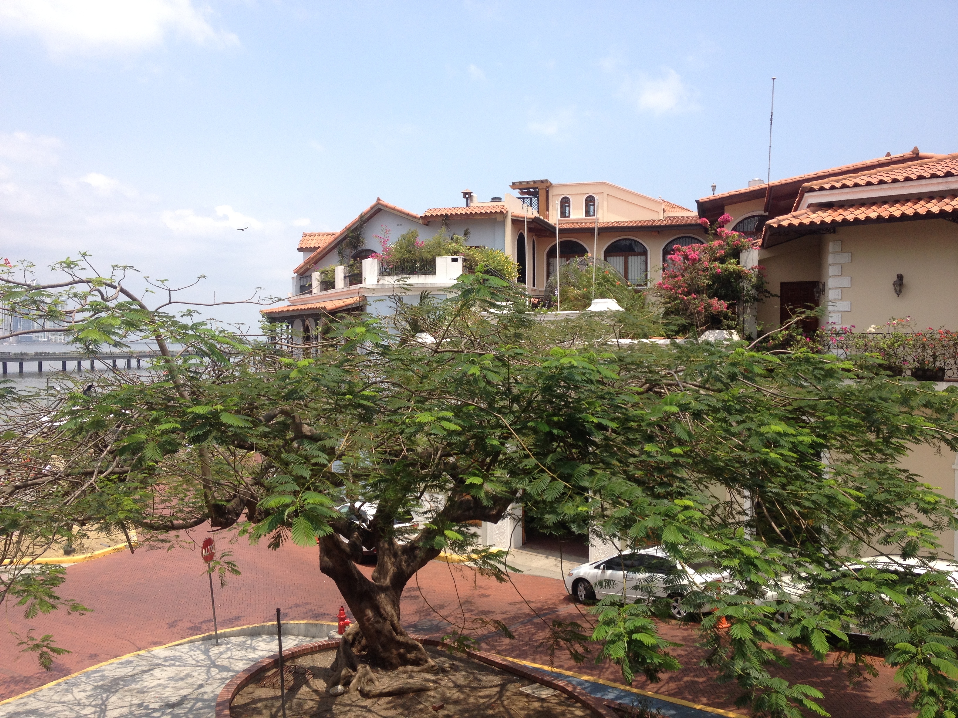 รูปถ่าย ปานามา(Panama) ปานามาซิตี(Panama City) 2015-03 73