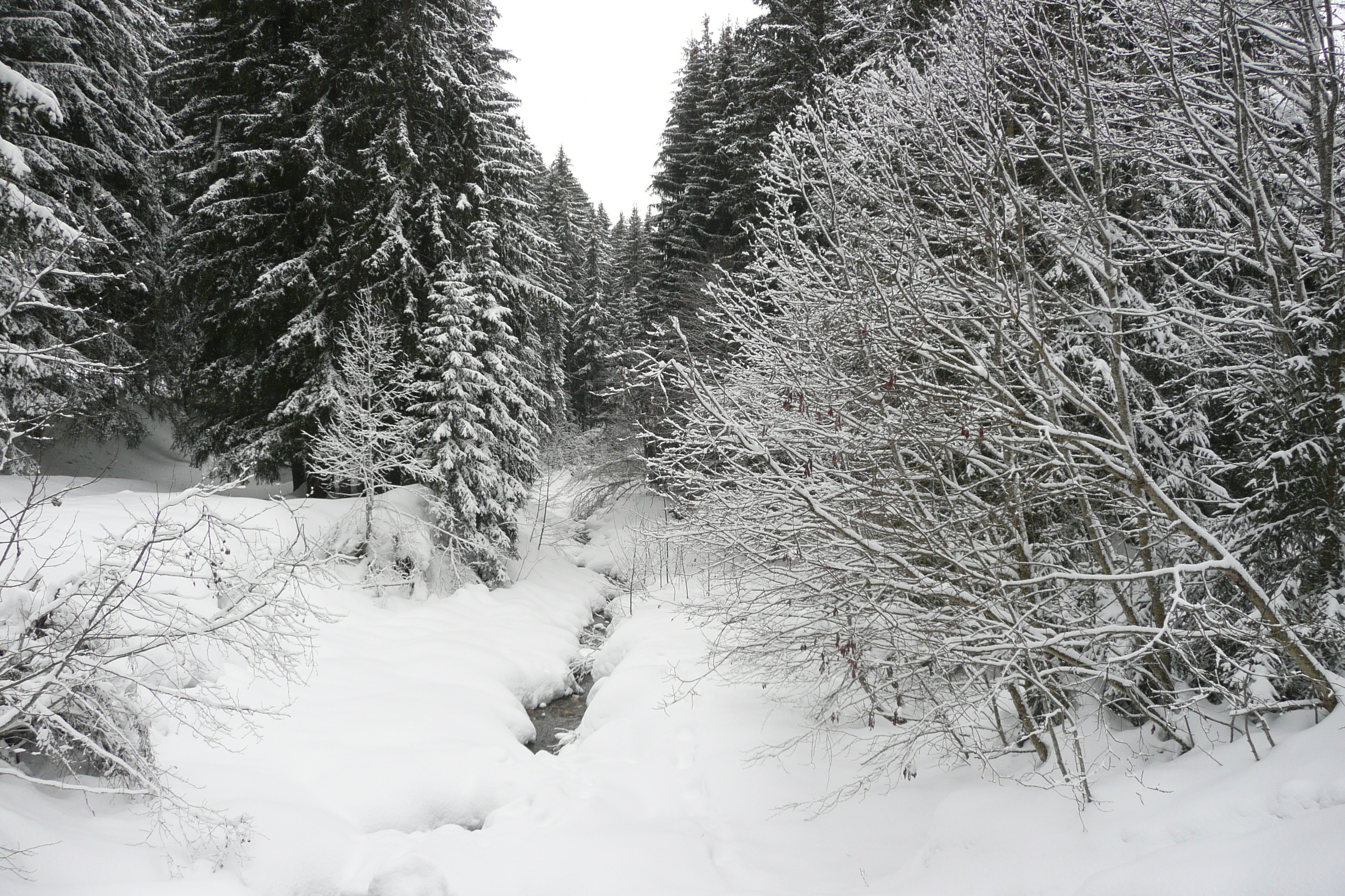 รูปถ่าย ฝรั่งเศส(France) เมแฌฟว์(Megeve) เลอปลาเน(Le Planay) 2010-02 30