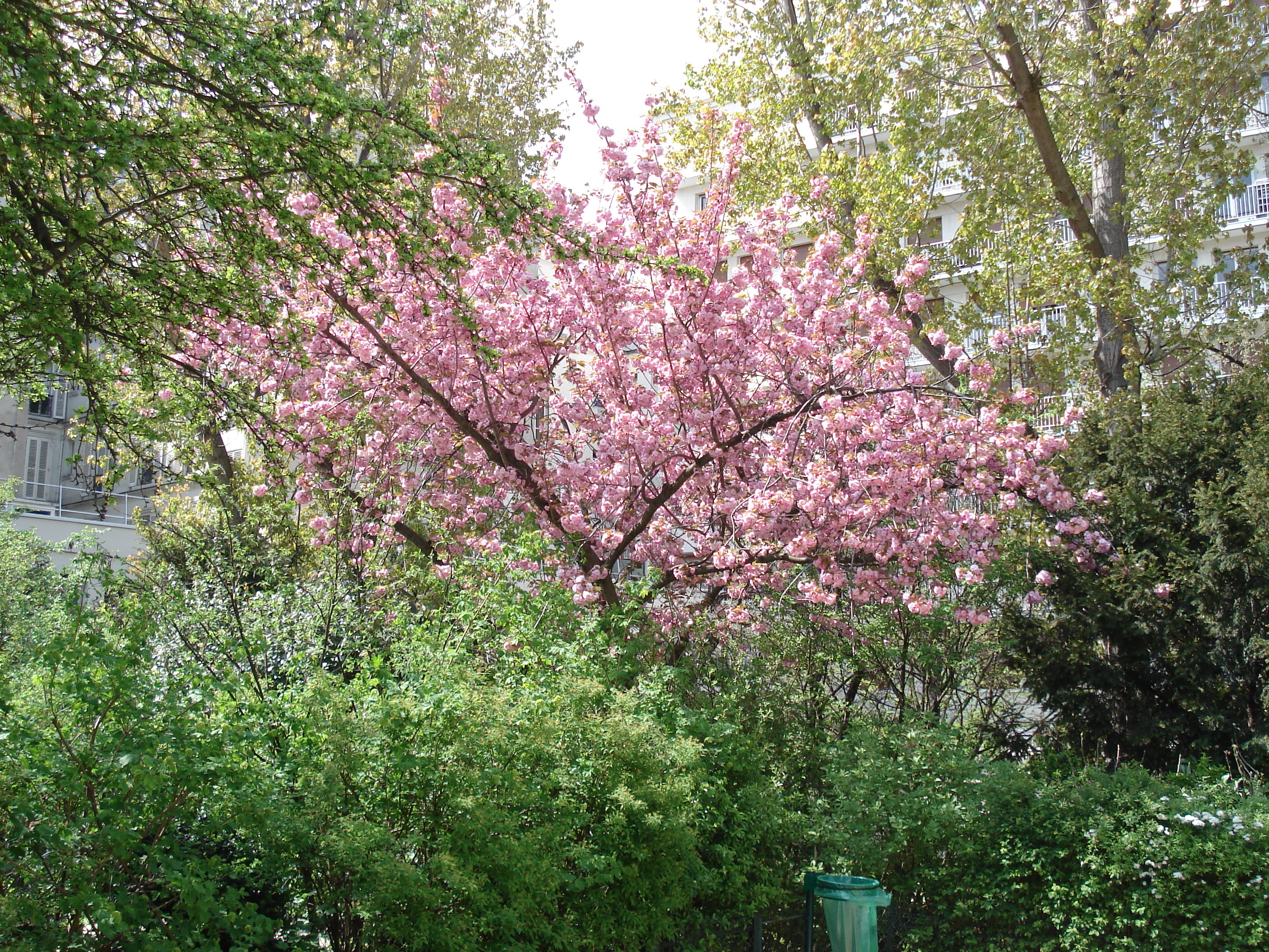 รูปถ่าย ฝรั่งเศส(France) ปารีส(Paris) คุ้มที่ 17 (17th Arrondissement) 2006-04 17
