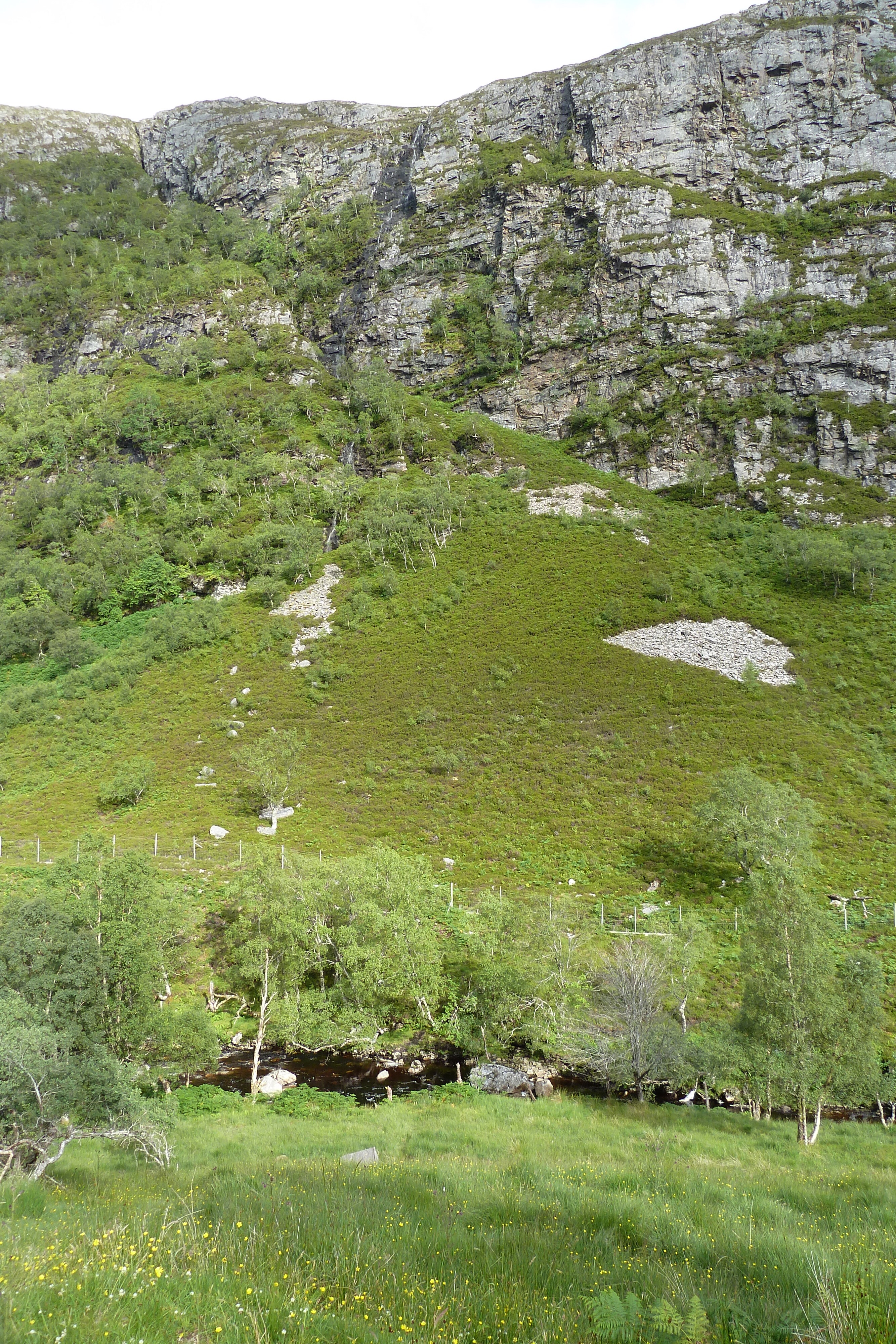 รูปถ่าย อังกฤษ(United Kingdom) เวสเตอร์รอสส์(Wester Ross) 2011-07 146