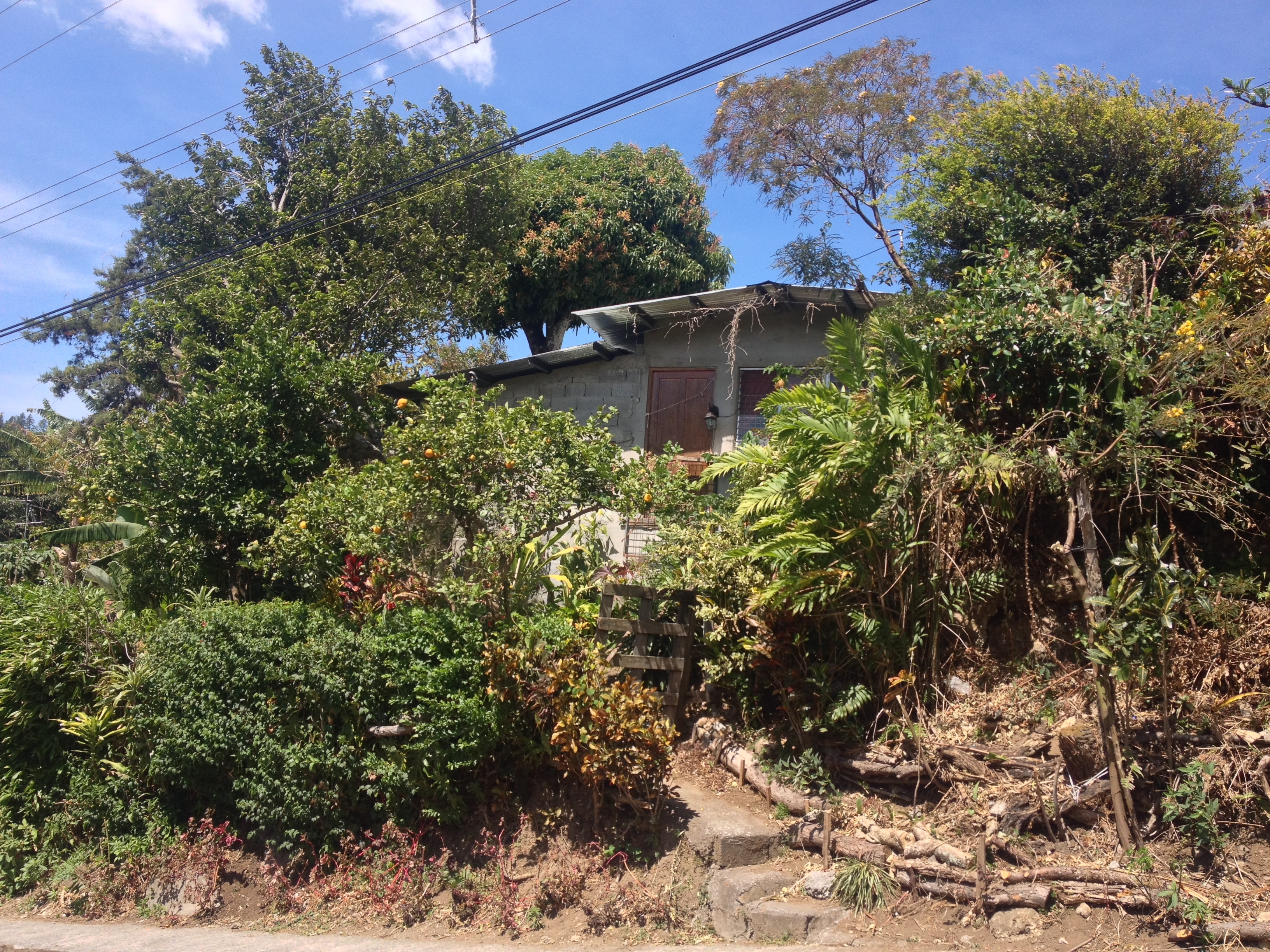 รูปถ่าย ปานามา(Panama) โบเกเต(Boquete) 2015-03 51