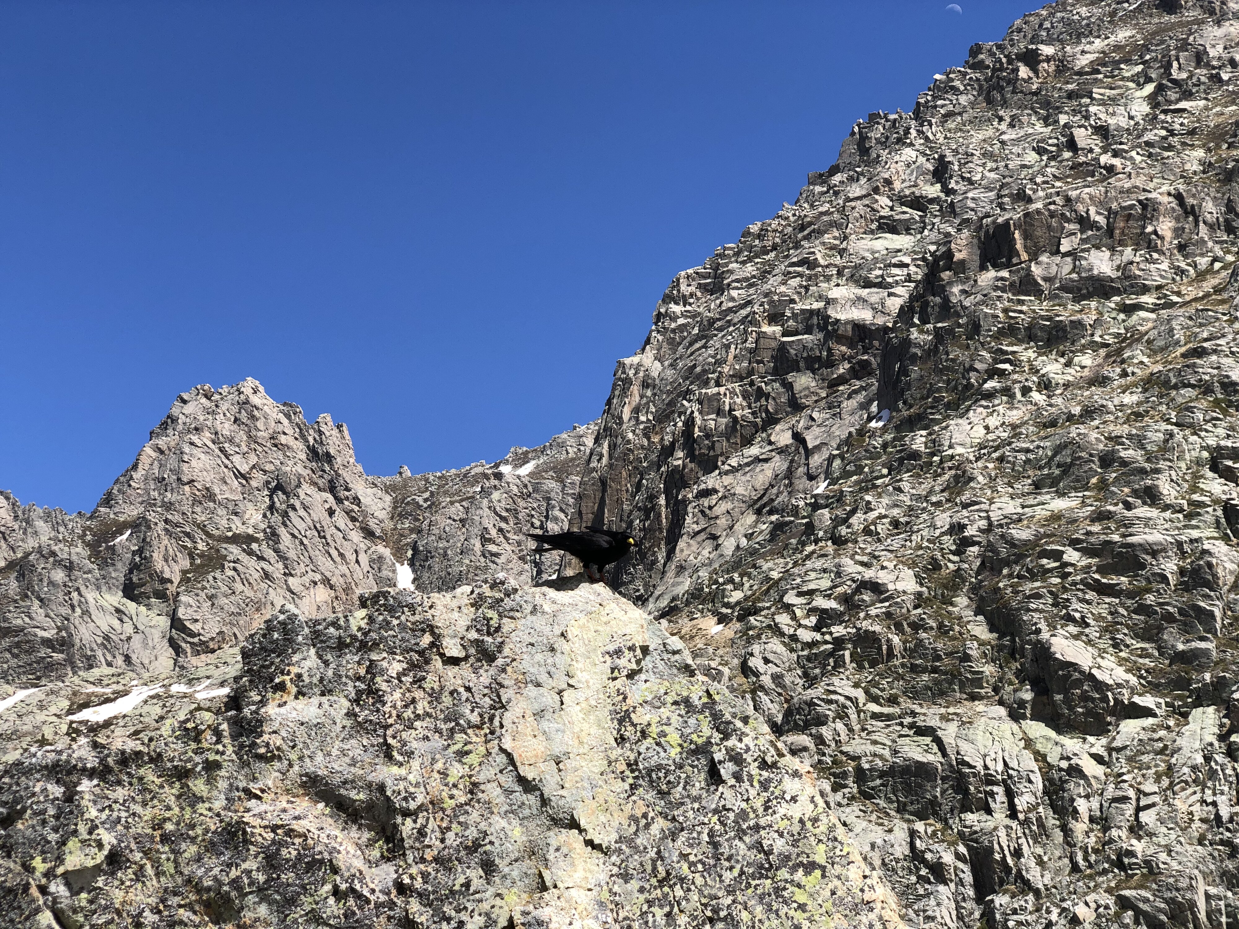 รูปถ่าย ฝรั่งเศส(France) คอร์สิคา(Corsica) ทะเลสาบเมโลและกาปีเตลโล(Lac de Melo et Capitello) 2021-06 120