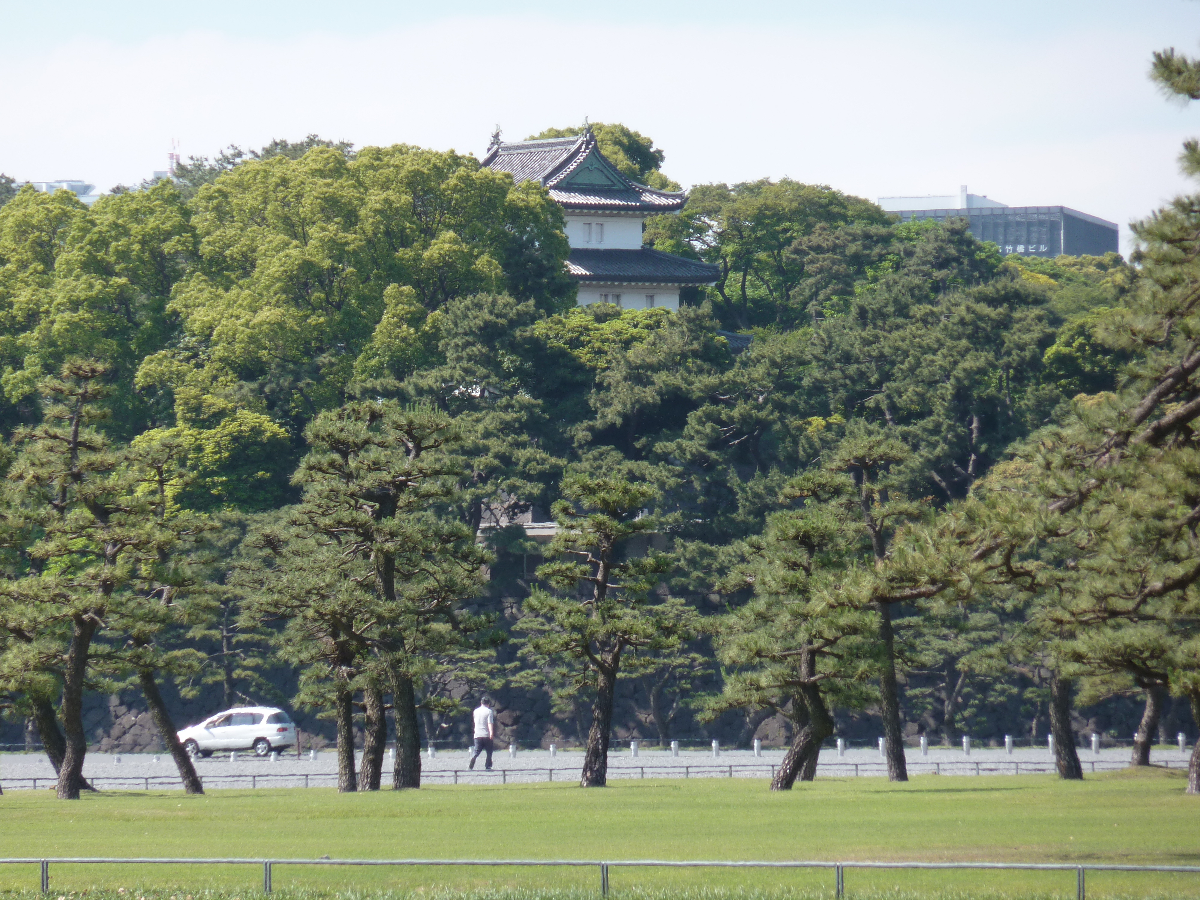 รูปถ่าย ญี่ปุ่น(Japan) โตเกียว(Tokyo) พระราชวังหลวง(Imperial Palace) 2010-06 1