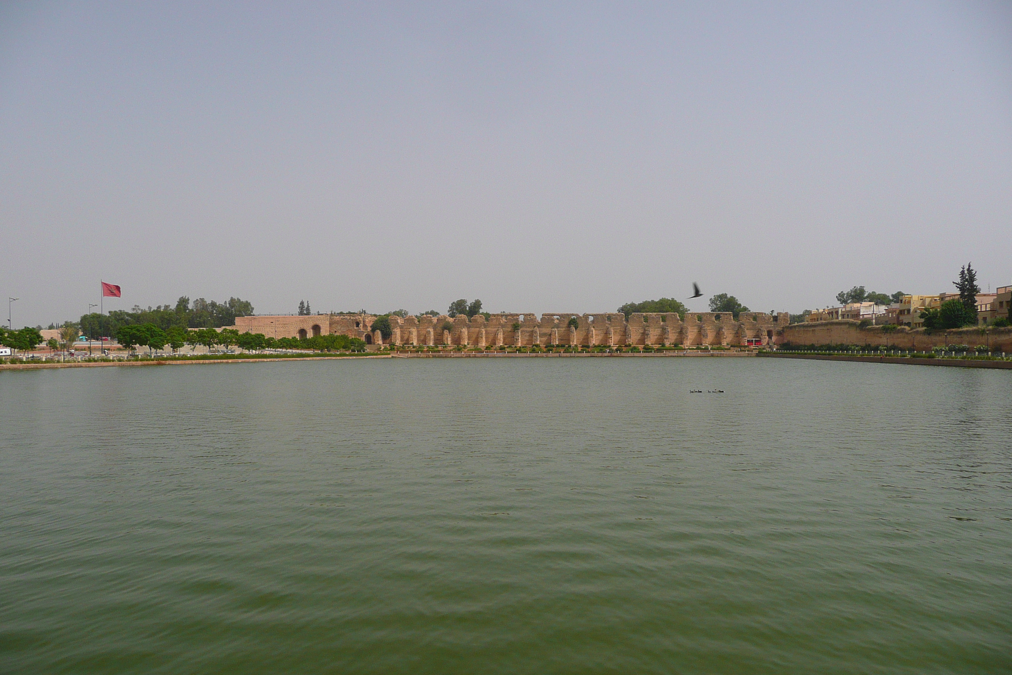 รูปถ่าย โมร็อกโก(Morocco) เม็กเนส(Meknes) 2008-07 71