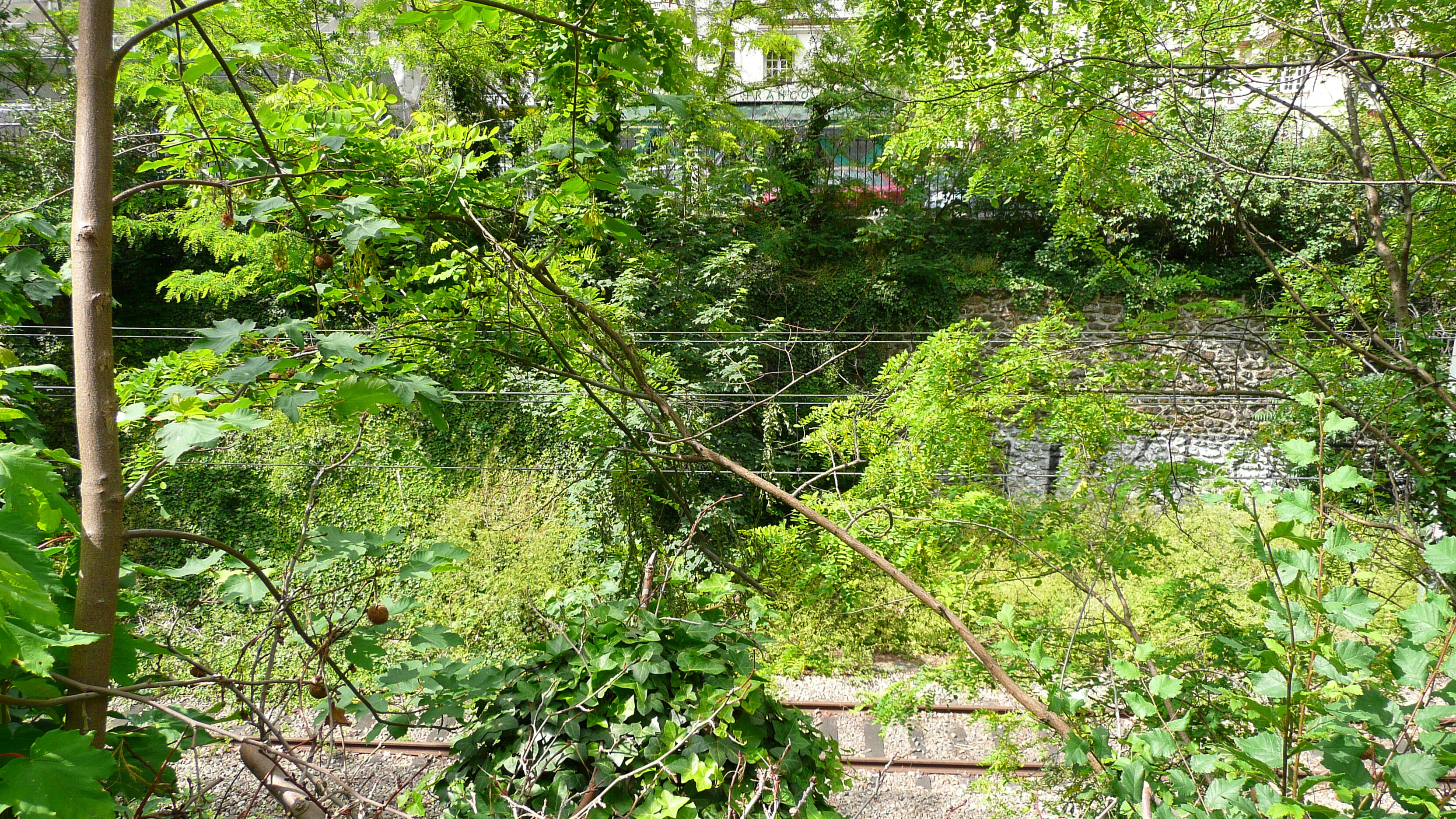 รูปถ่าย ฝรั่งเศส(France) ปารีส(Paris) คุ้มที่ 17 (17th Arrondissement) ถนนแปแรร์(Boulevard Pereire) 2007-05 63