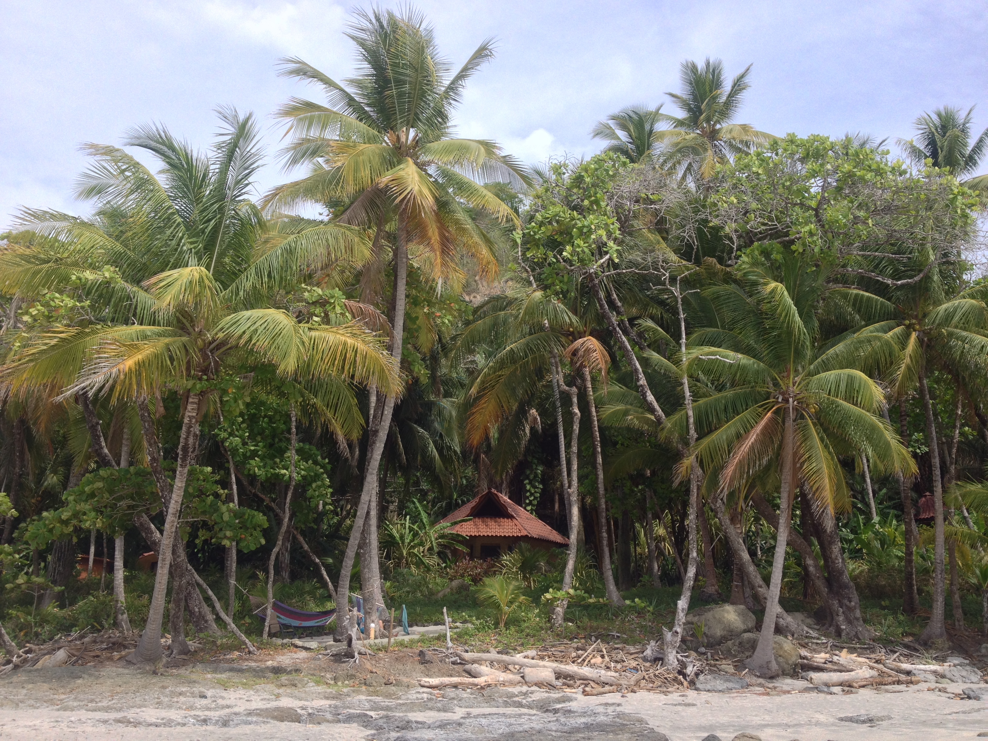 รูปถ่าย คอสตาริกา(Costa Rica) มอนเตซูมา(Montezuma) 2015-03 89