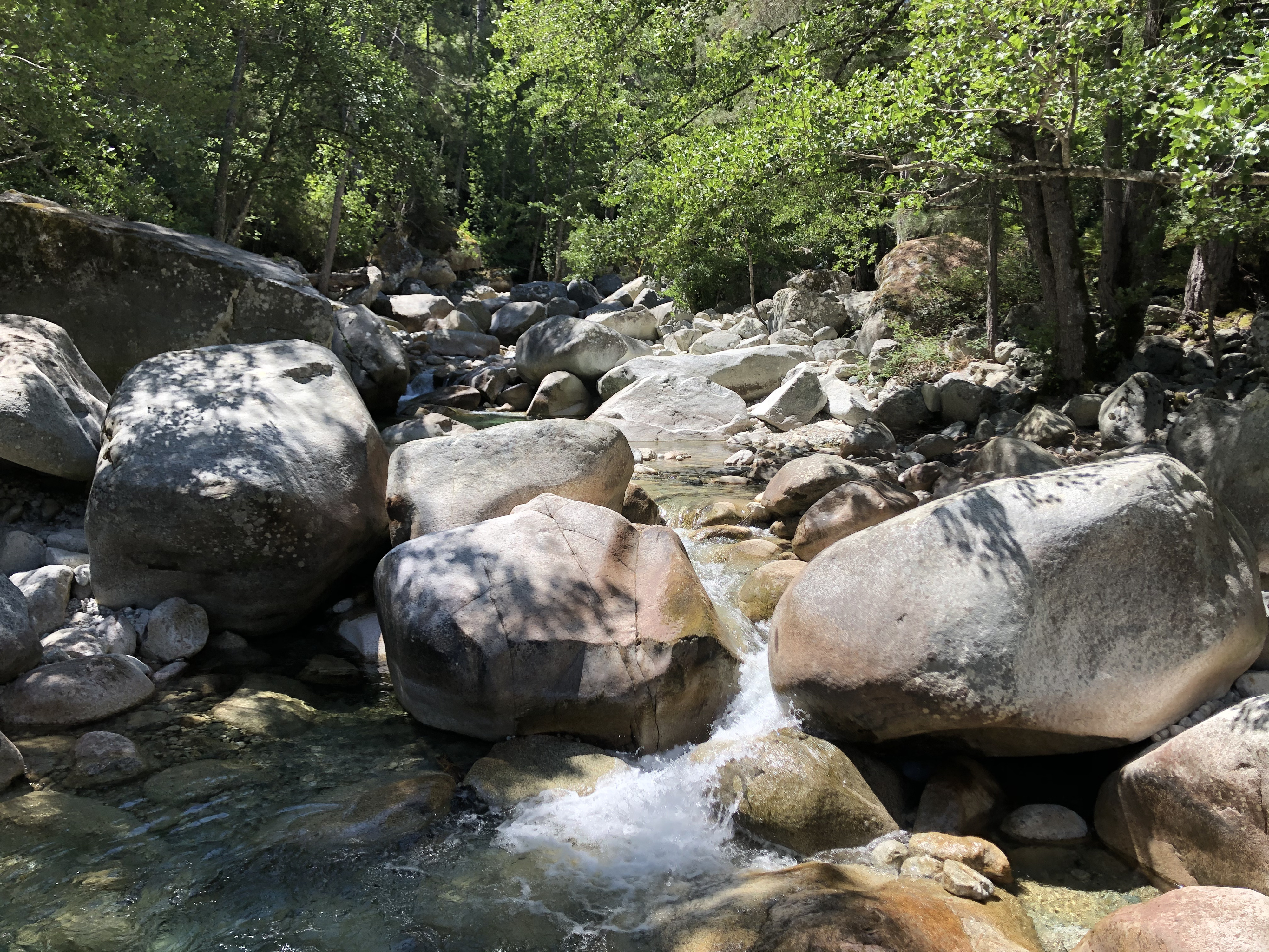 รูปถ่าย ฝรั่งเศส(France) คอร์สิคา(Corsica) หุบเขาลาเรสโตนีกา(La Restonica) 2020-07 102