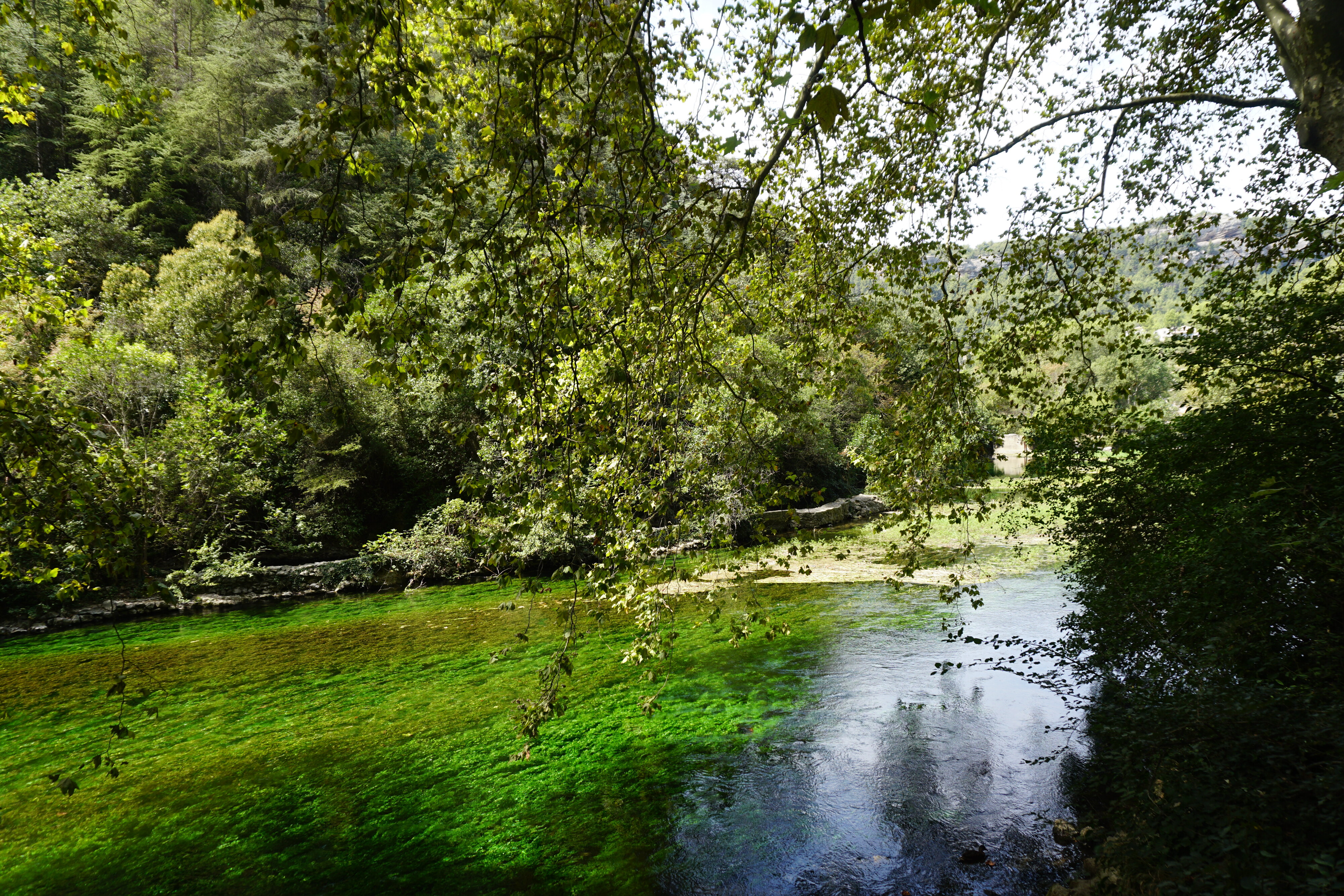 รูปถ่าย ฝรั่งเศส(France) ฟงแตน-เดอ-โวกลูซ(Fontaine-de-Vaucluse) 2017-08 1