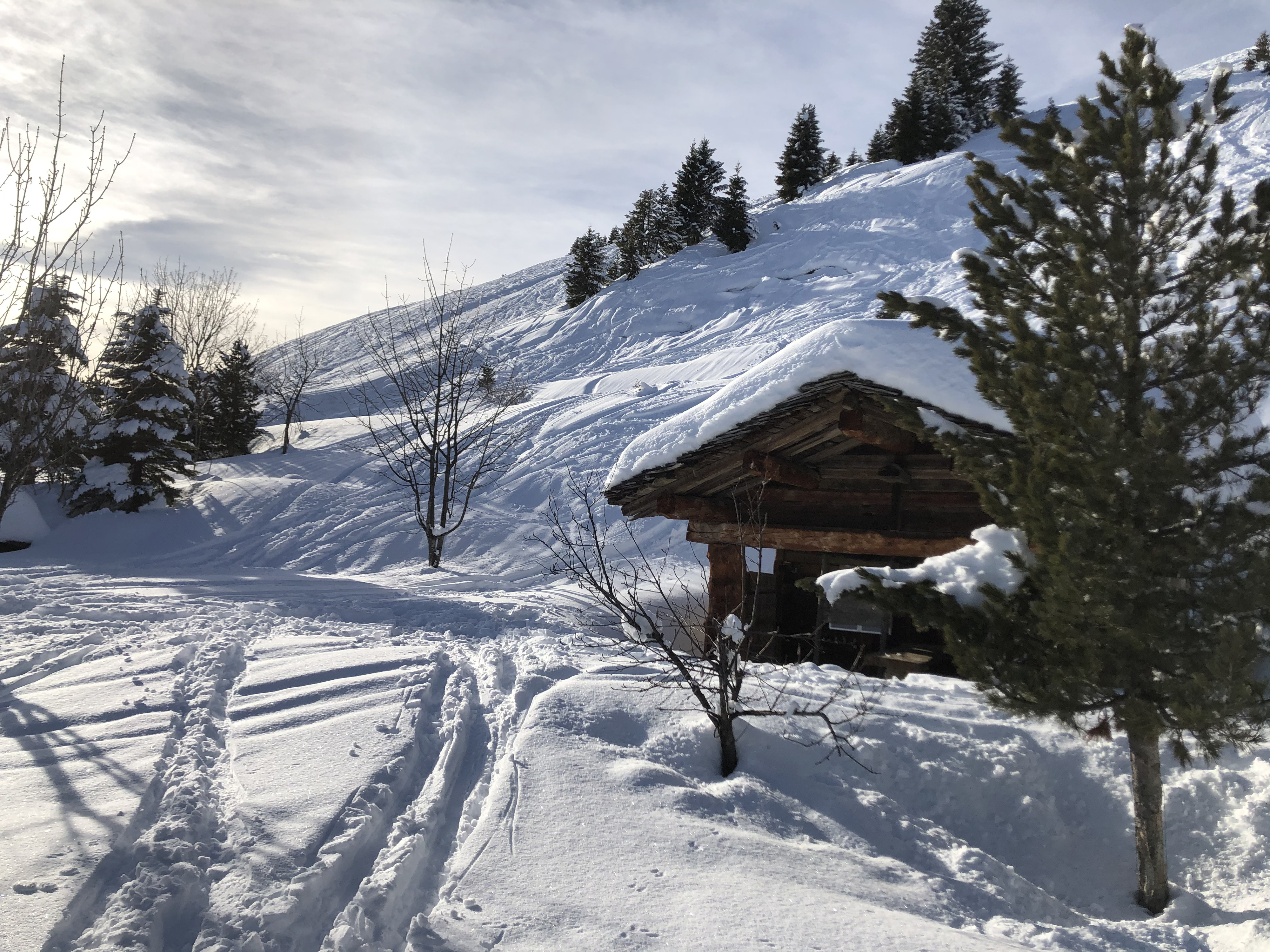 รูปถ่าย ฝรั่งเศส(France) ปรา-ซูร์-อาร์ลี(Praz sur Arly) 2019-12 39