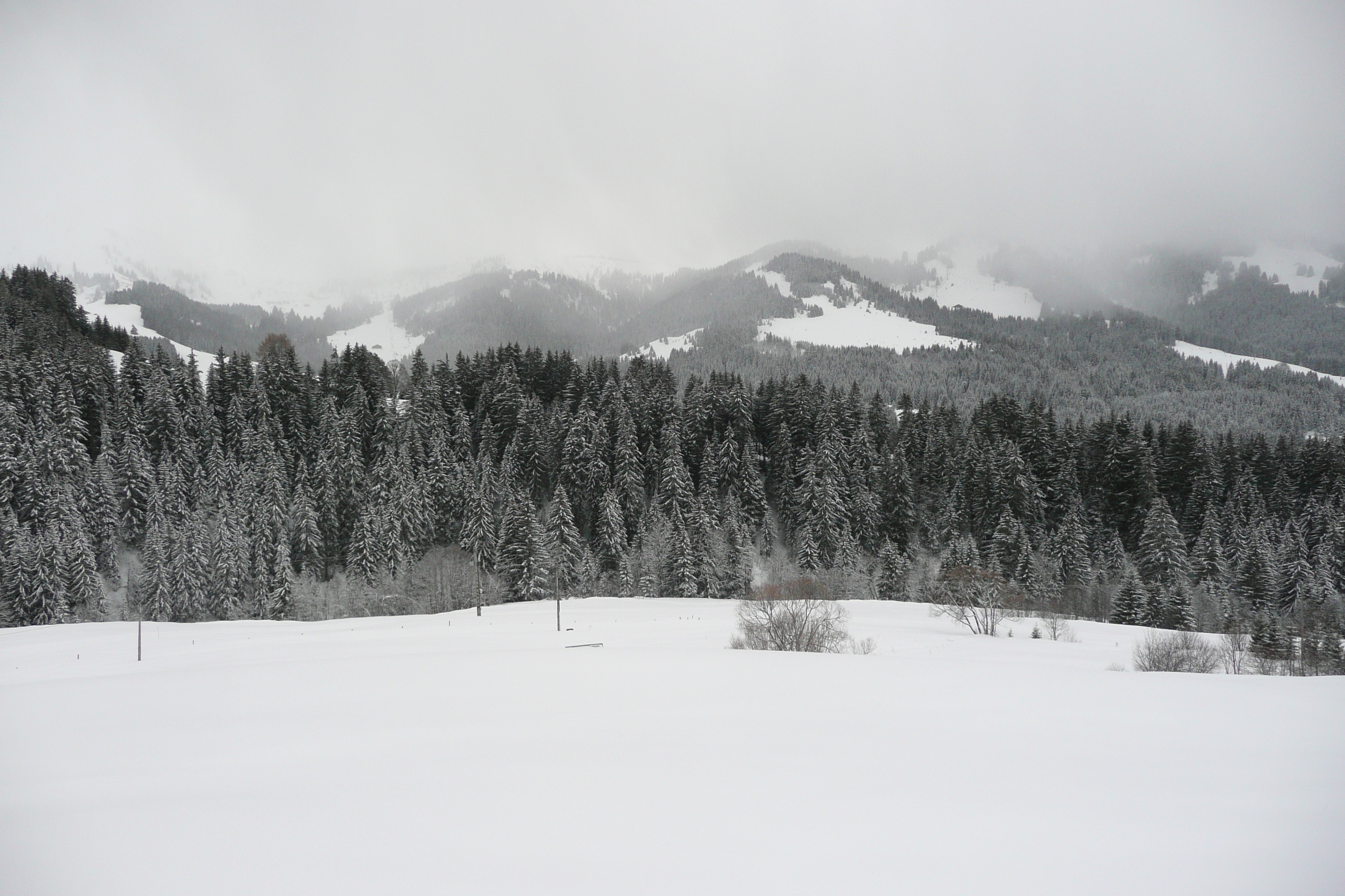 รูปถ่าย ฝรั่งเศส(France) เมแฌฟว์(Megeve) เลอปลาเน(Le Planay) 2010-02 53